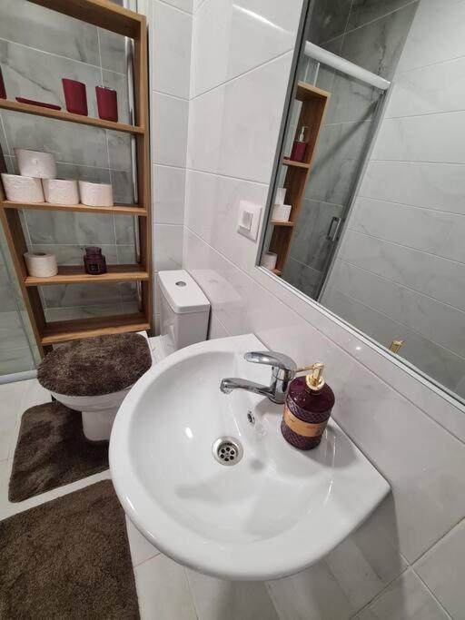 Charming Red Light City Centar apartment view 4