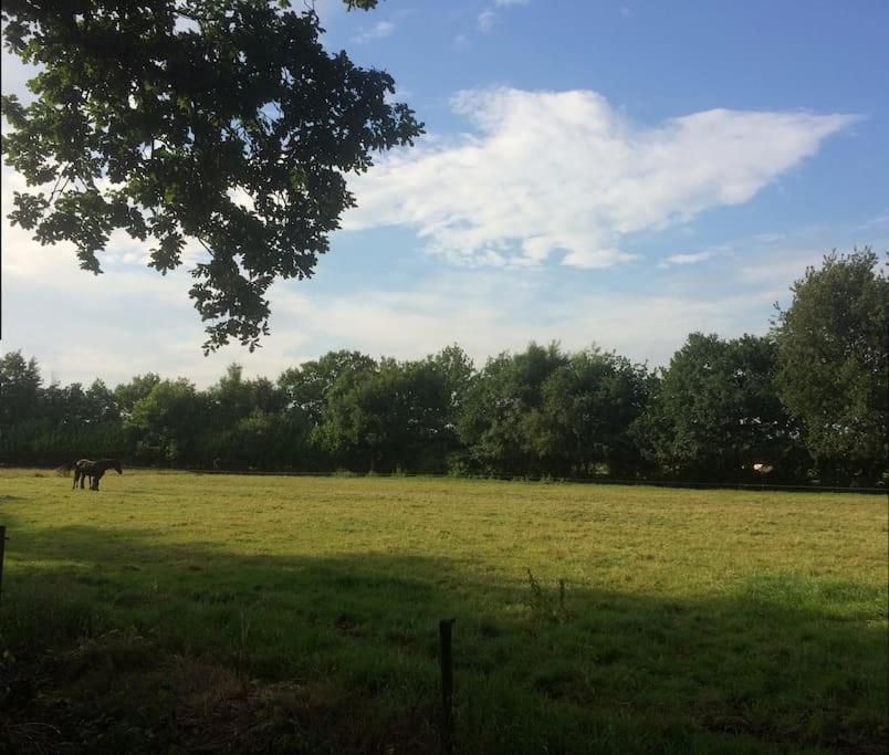 Tanja's Guesthouse Kootstertille view 4