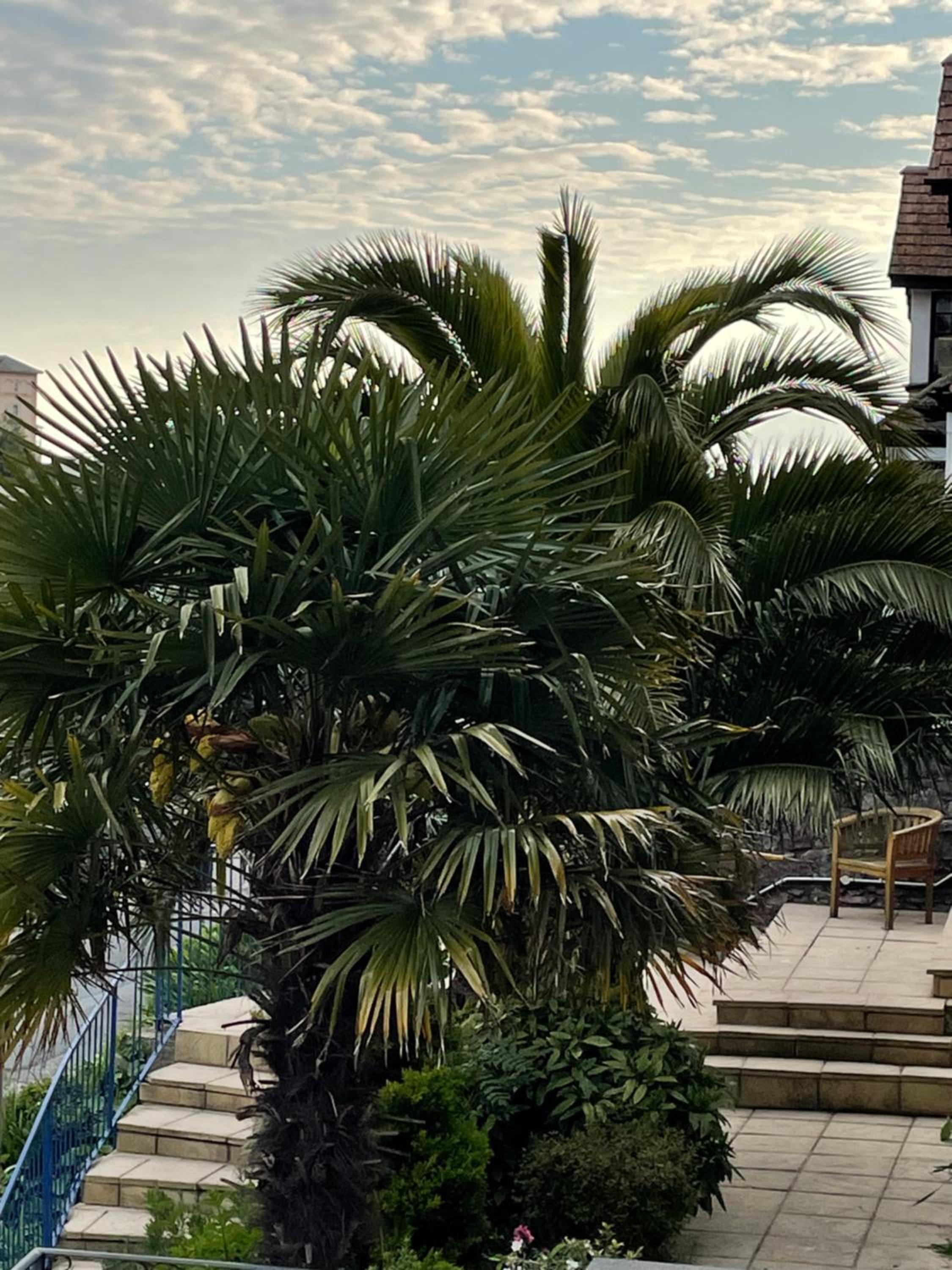 Hotel Hudson view 3