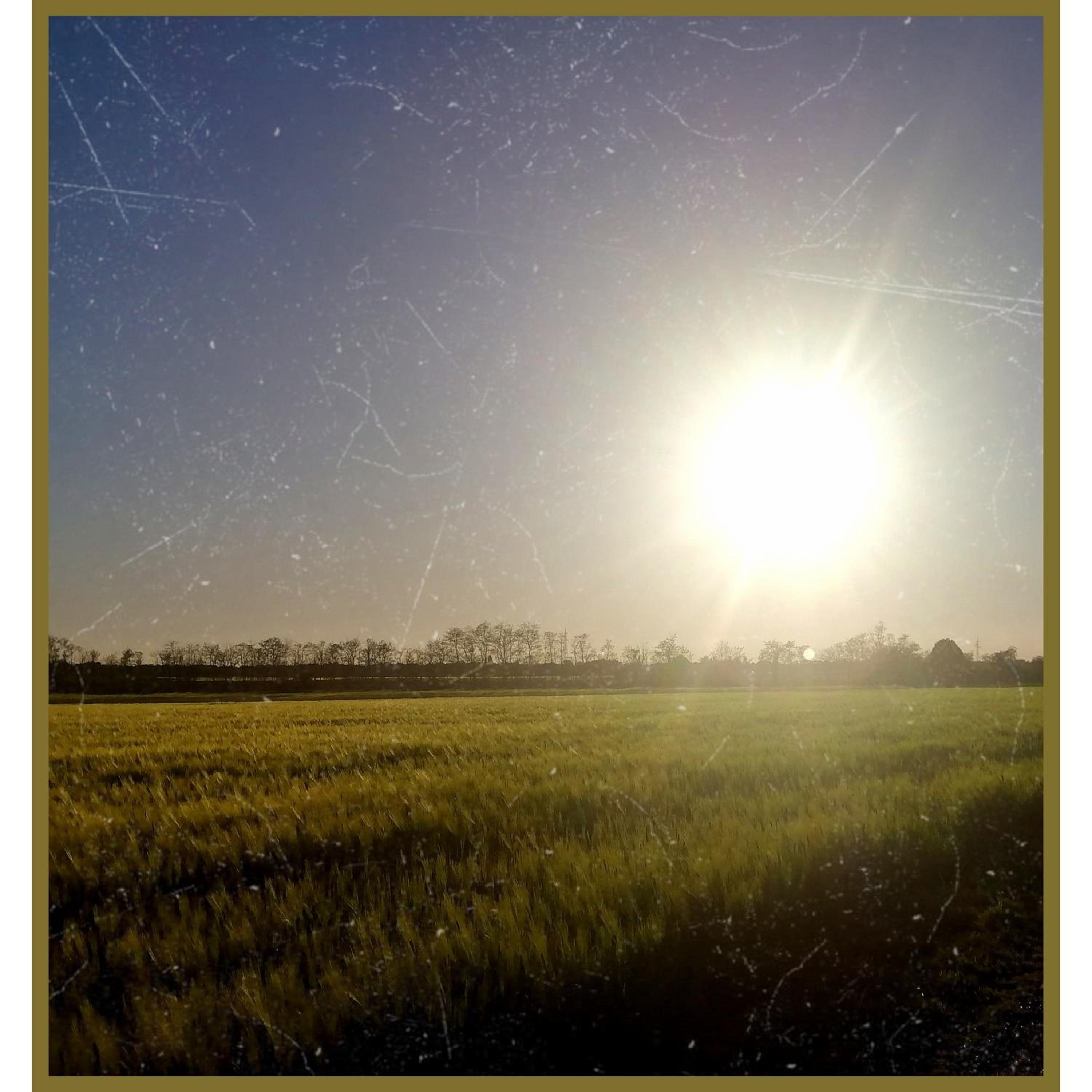 Felix House - Property Image 91