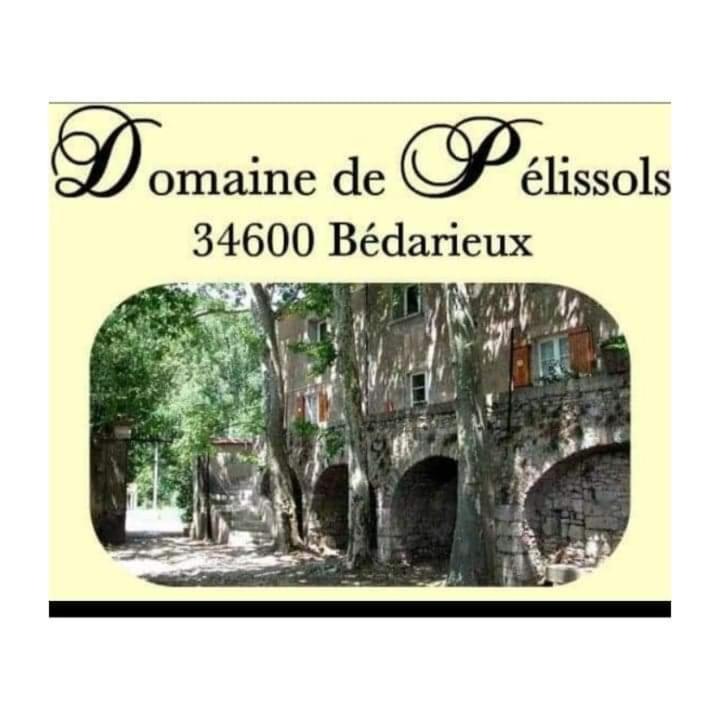 Chambres d'hôtes Domaine de Pélissols photo 4