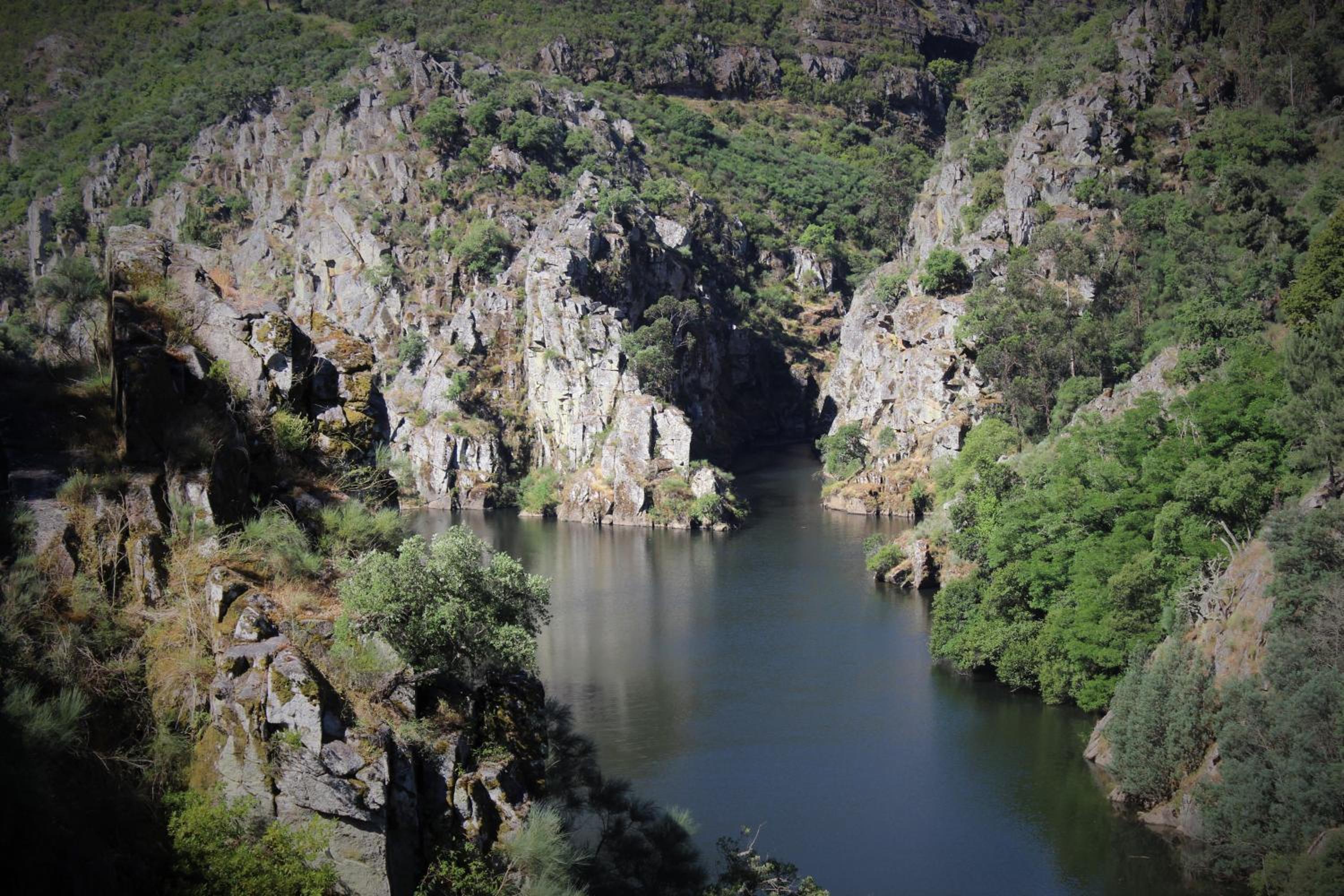 Photo 33