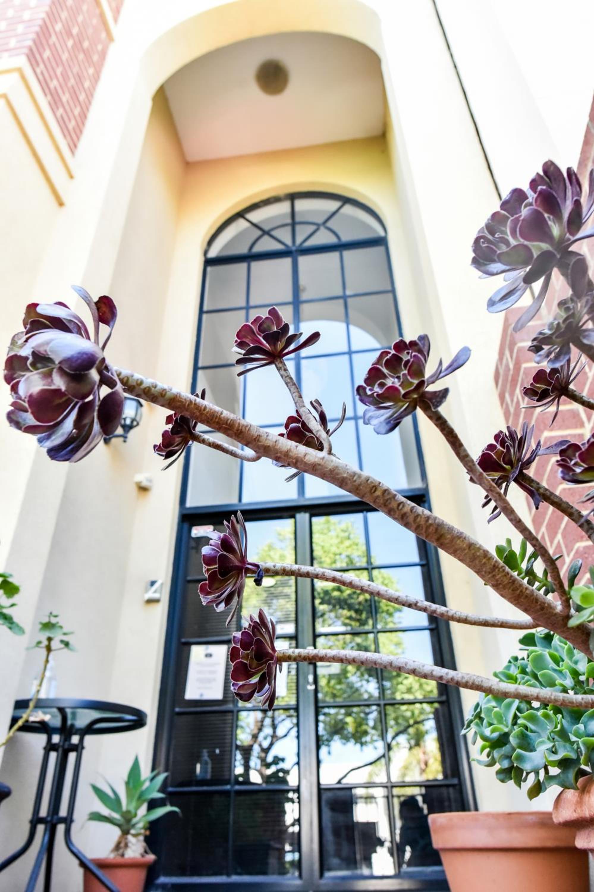 Ganesha Wellness Spa