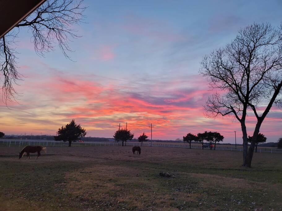 Modern 10 Acre Horse Ranch-Walk to Lake Ray Robert view 3