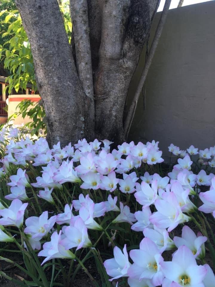 Photo 47