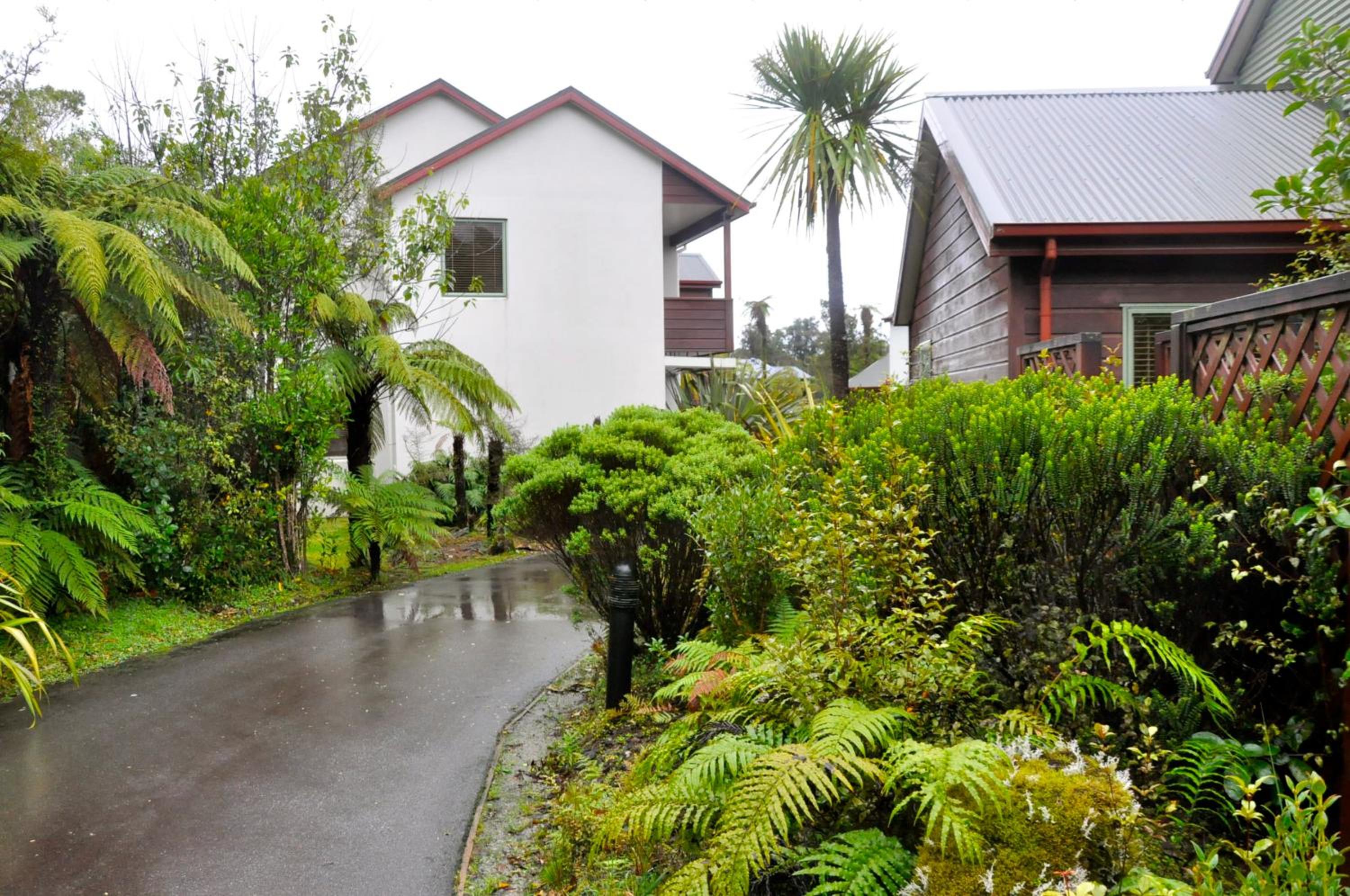 Punga Grove