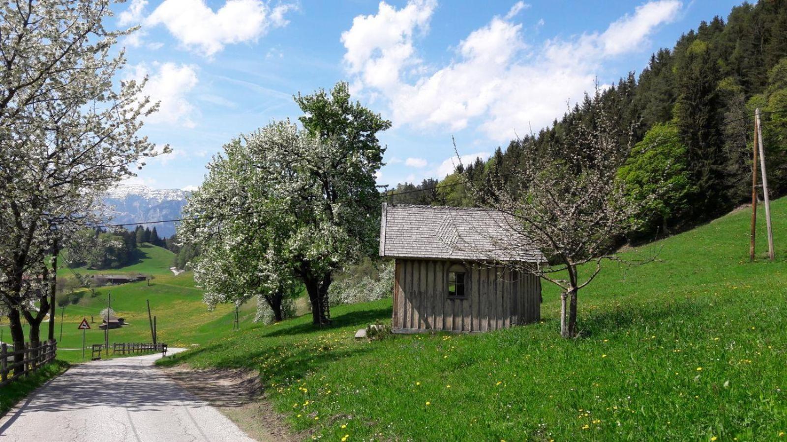 Hausbergerhof Gästehaus Ainberger