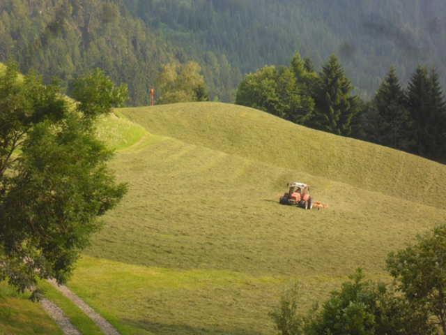 Hausbergerhof Gästehaus Ainberger
