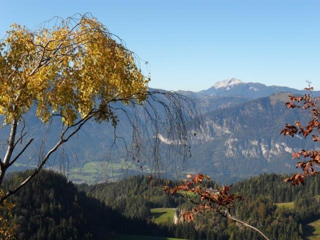 Hausbergerhof Gästehaus Ainberger