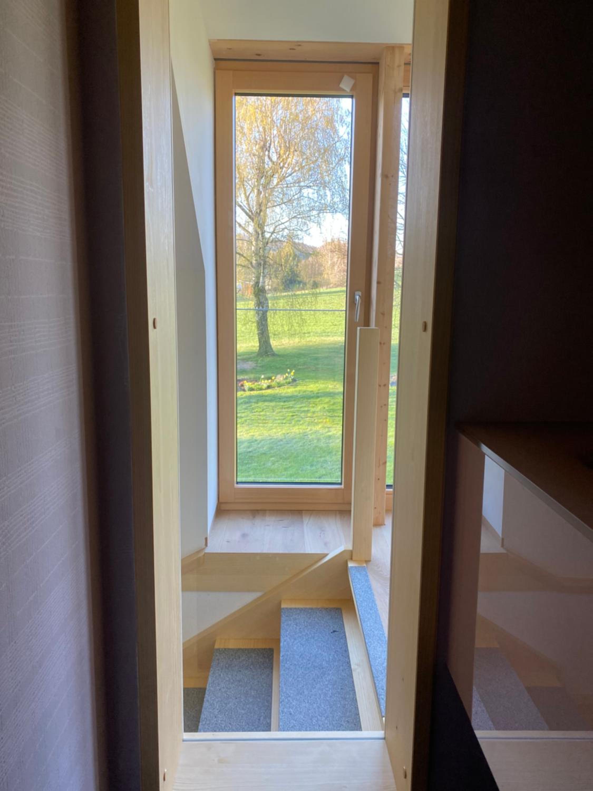 Haflingerstall