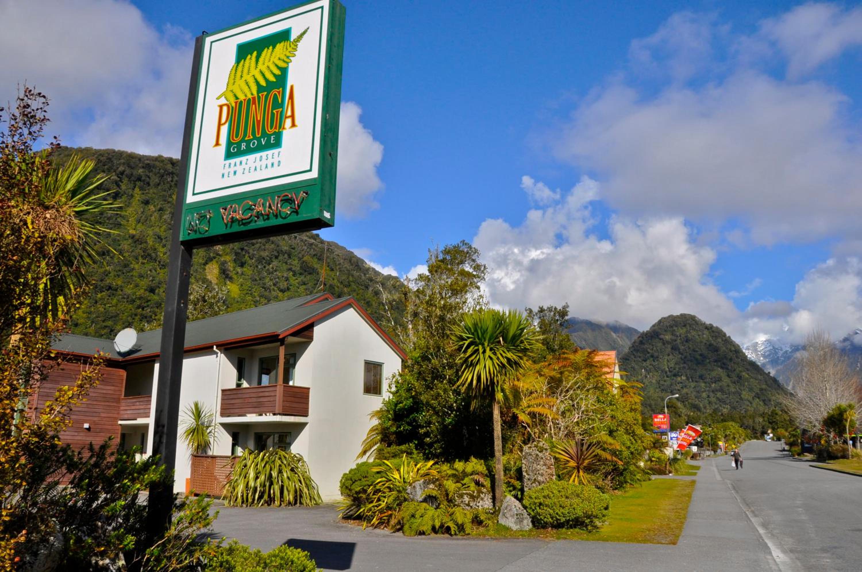 Punga Grove