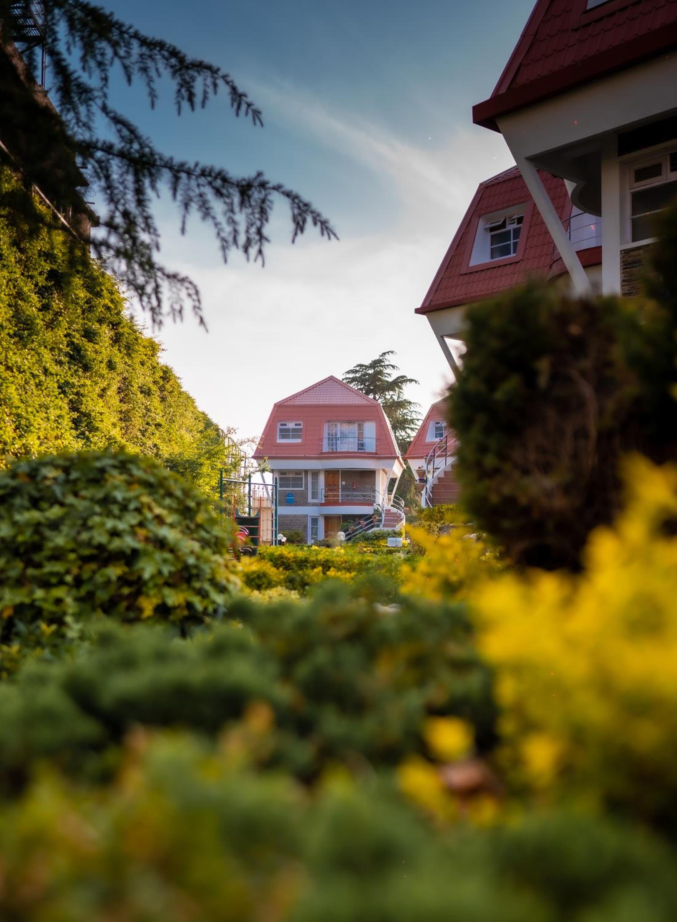 Marigold Sarovar Portico Shimla with Heated pool and AC Rooms-A Resort cottage and SPA Marigold Sarovar Portico Shimla with Heated pool and AC Rooms-A Resort cottage and SPA