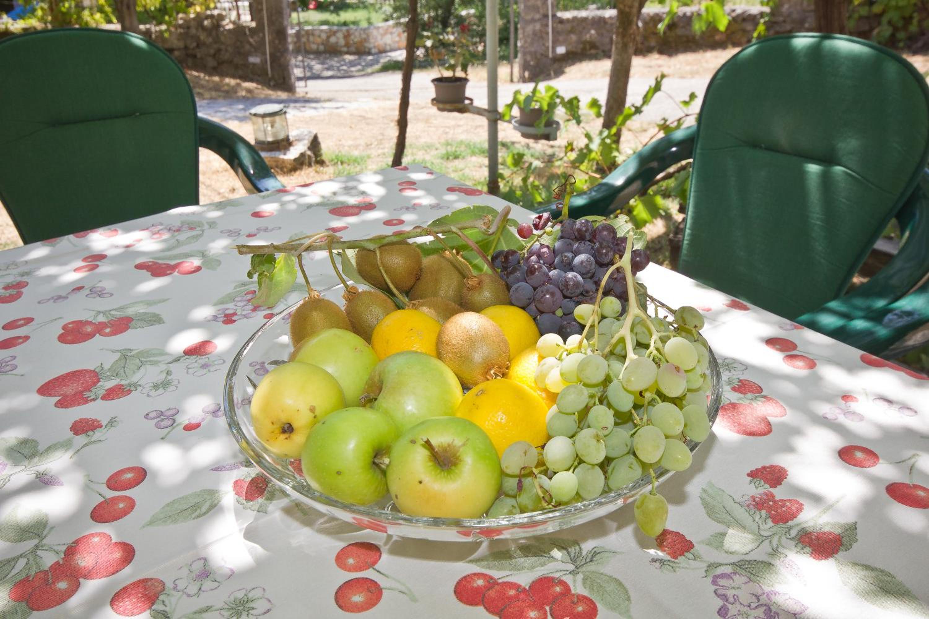 Photo 46