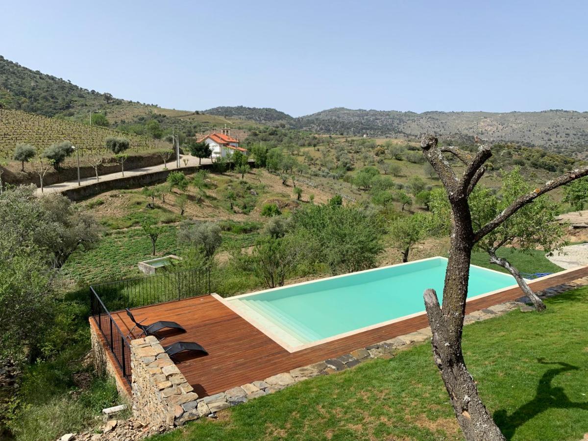 Casa Nova Velha — photo 3