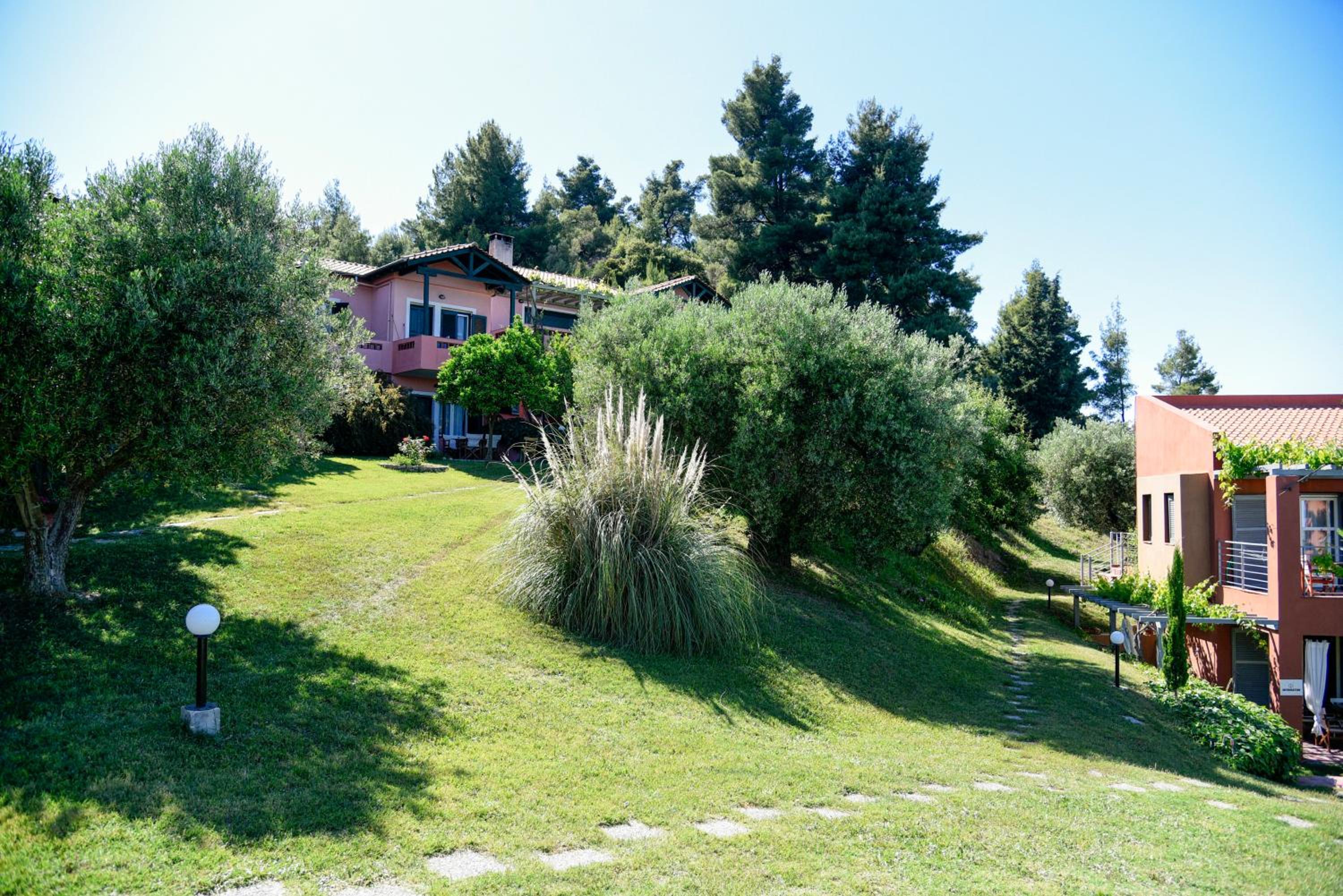Photo 18