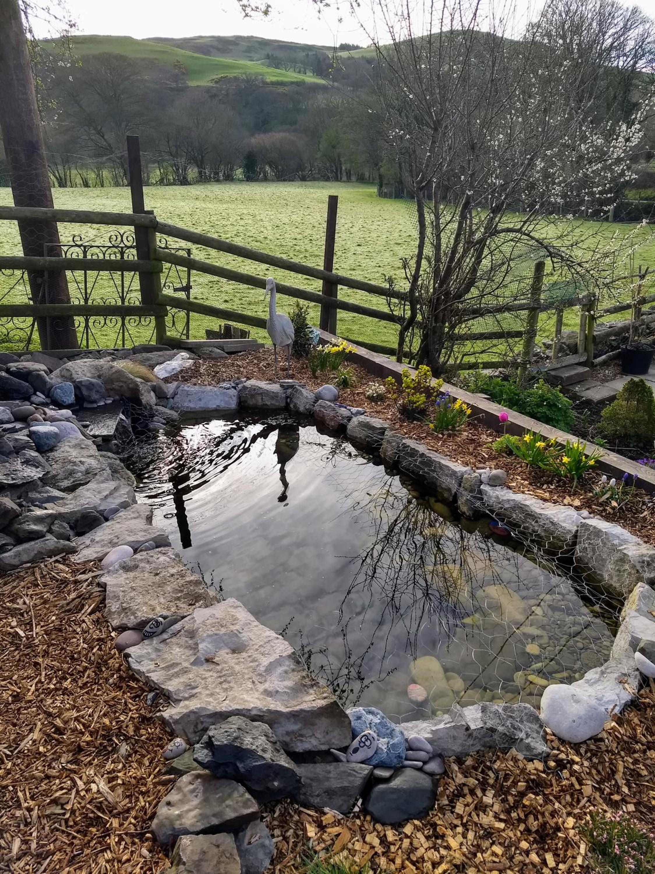 Photo 18