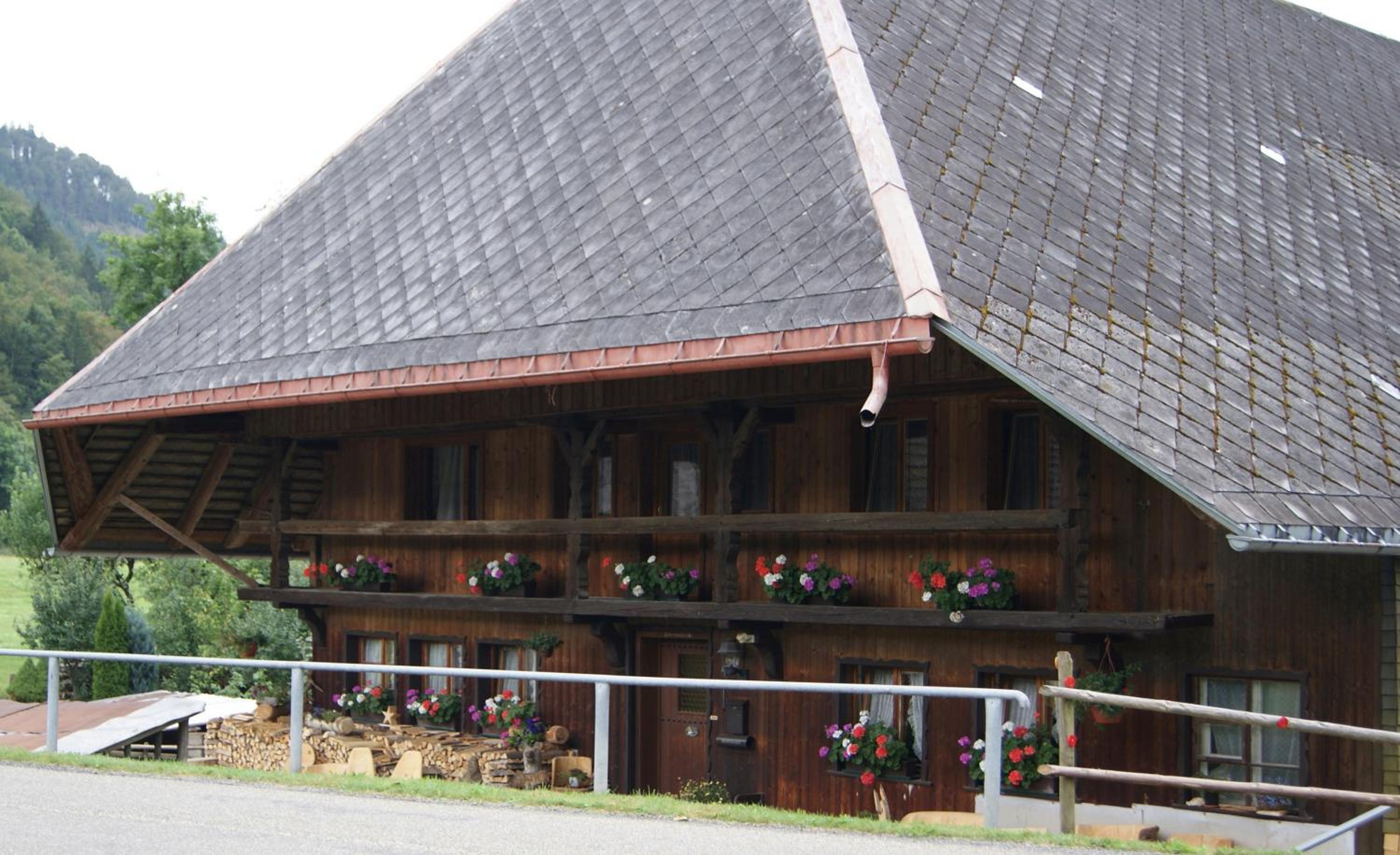 Photo 21