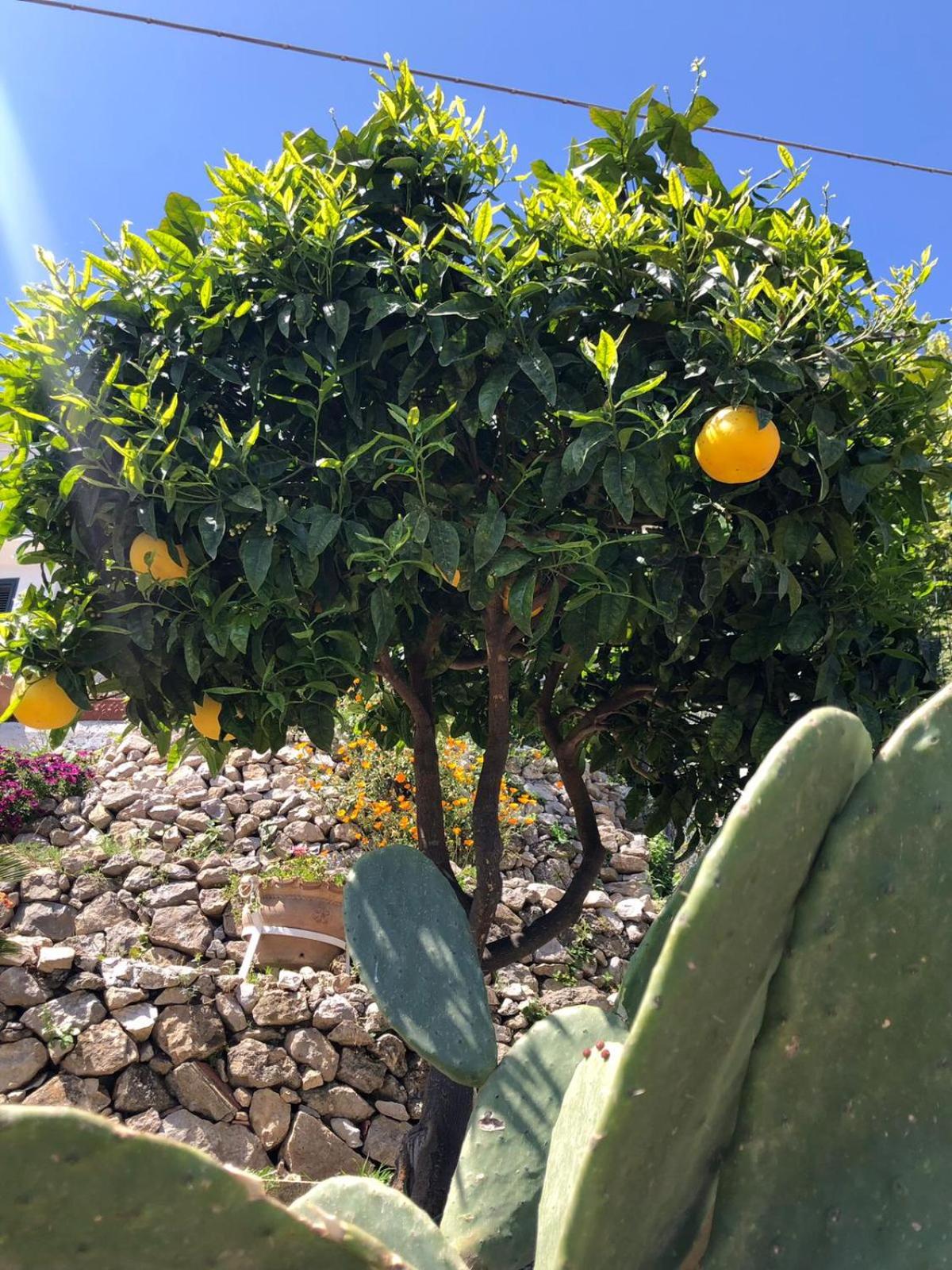 Villa Johnny and Mary's house breathtaking view photo 5