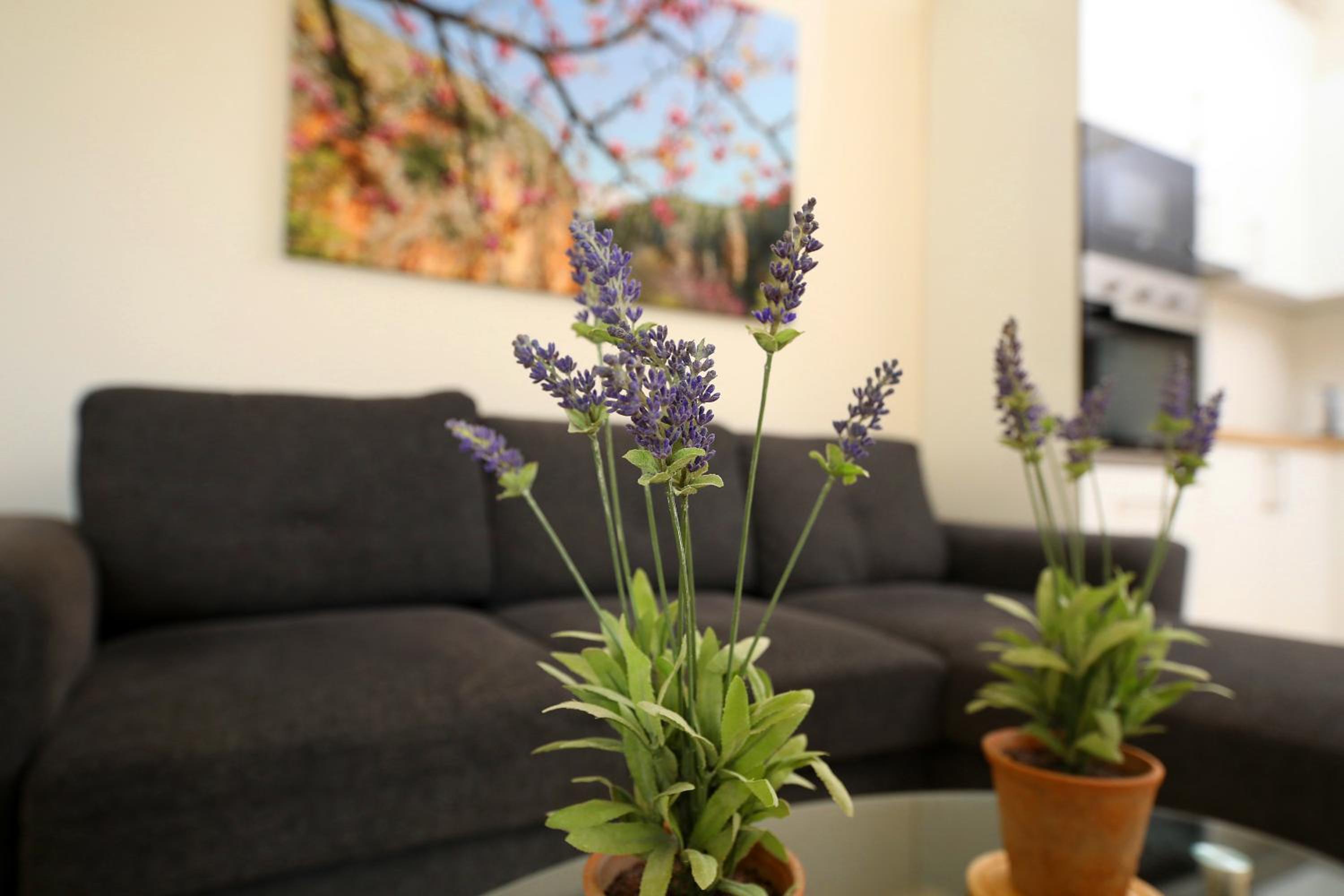 On the Beach (literally) stylish apartment with free P