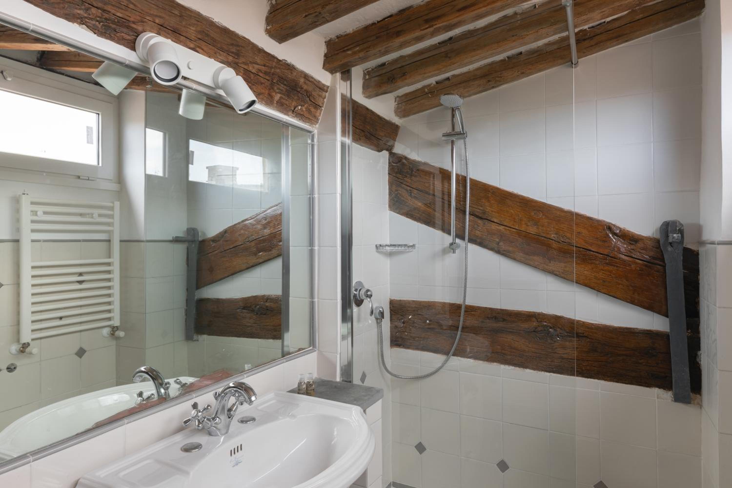 Amazing apartments with terrace or rooftop in Trastevere
