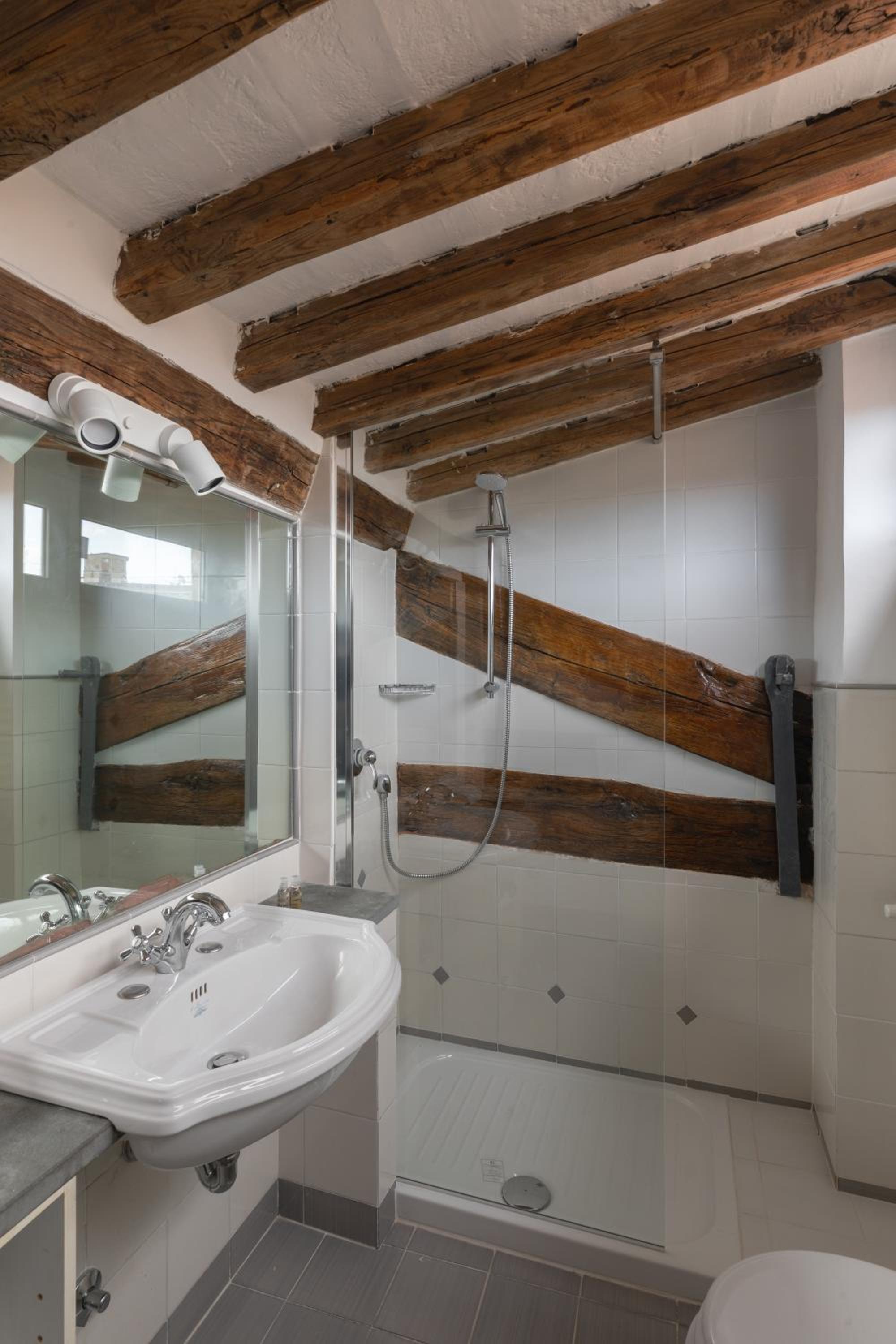 Amazing apartments with terrace or rooftop in Trastevere