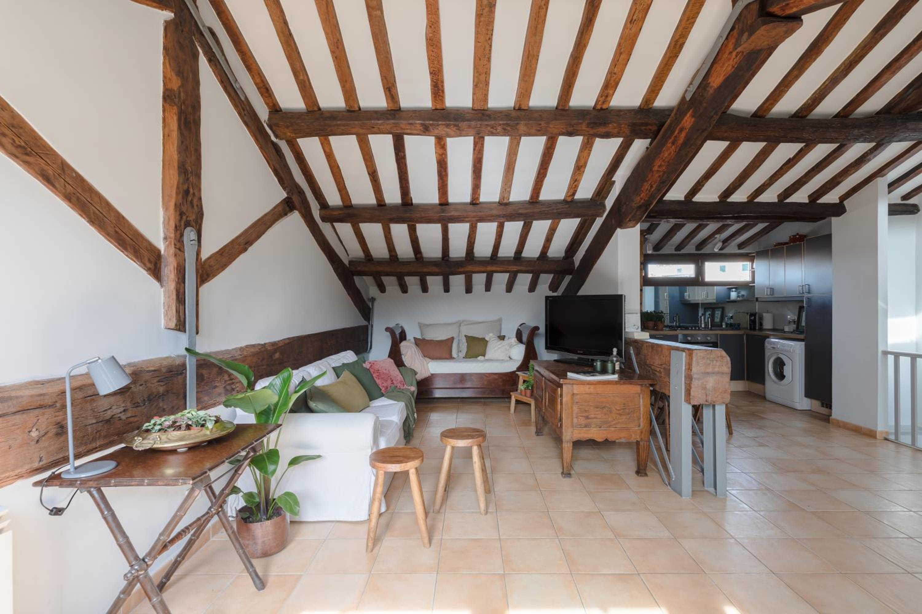 Amazing apartments with terrace or rooftop in Trastevere