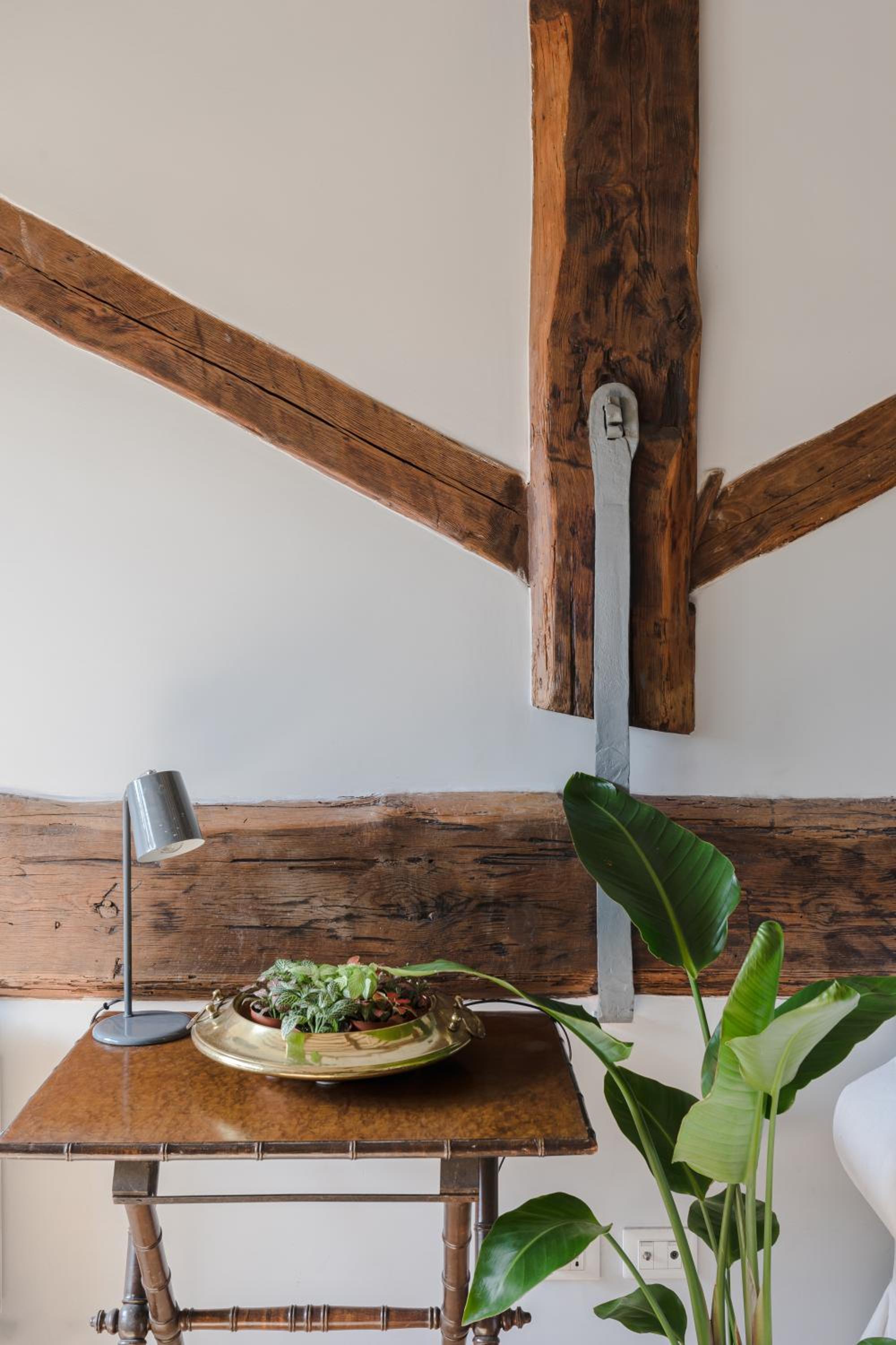 Amazing apartments with terrace or rooftop in Trastevere