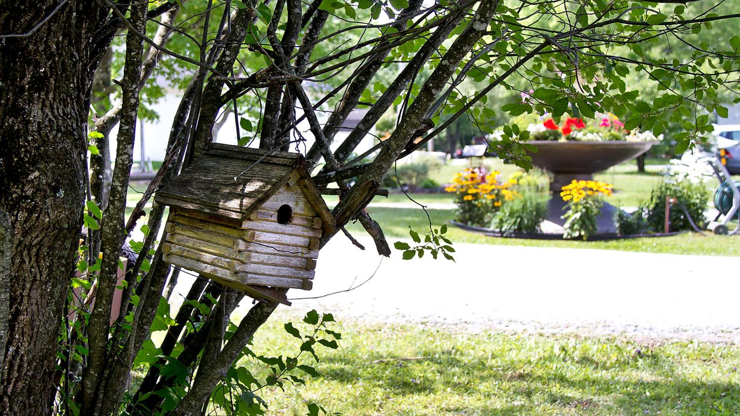 Auberge Papillon Lune - Image 5