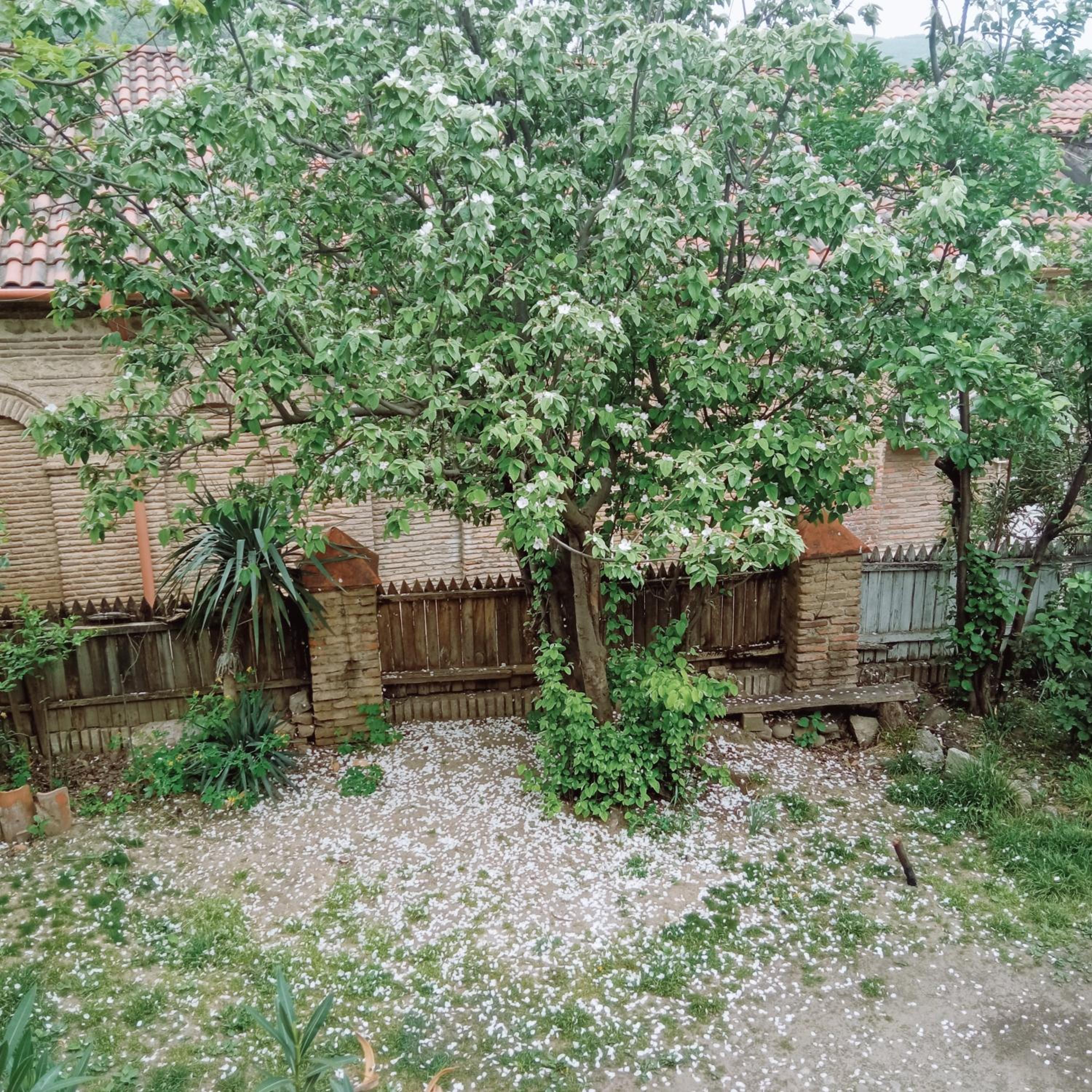Photo 33
