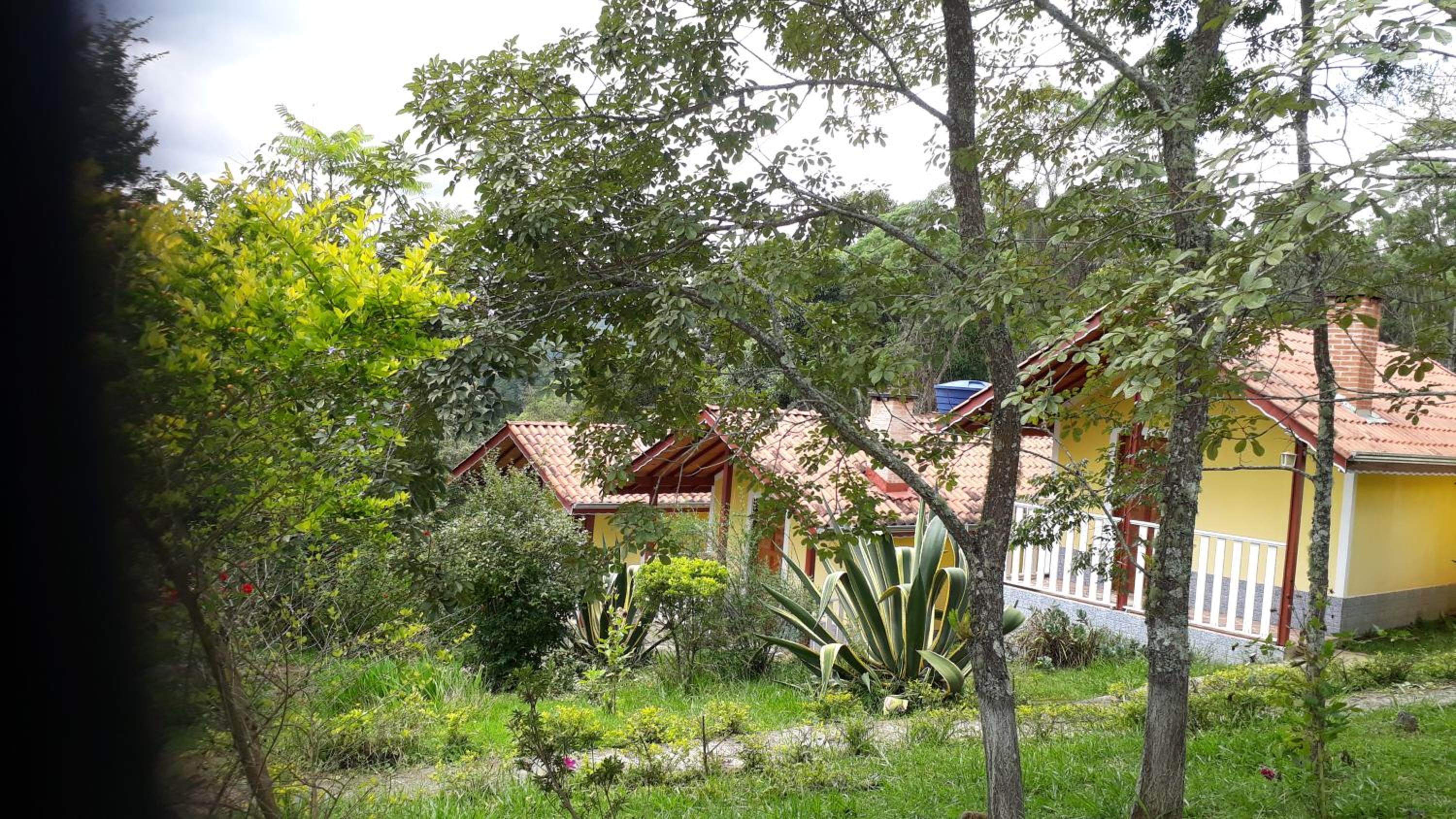 Photo 29