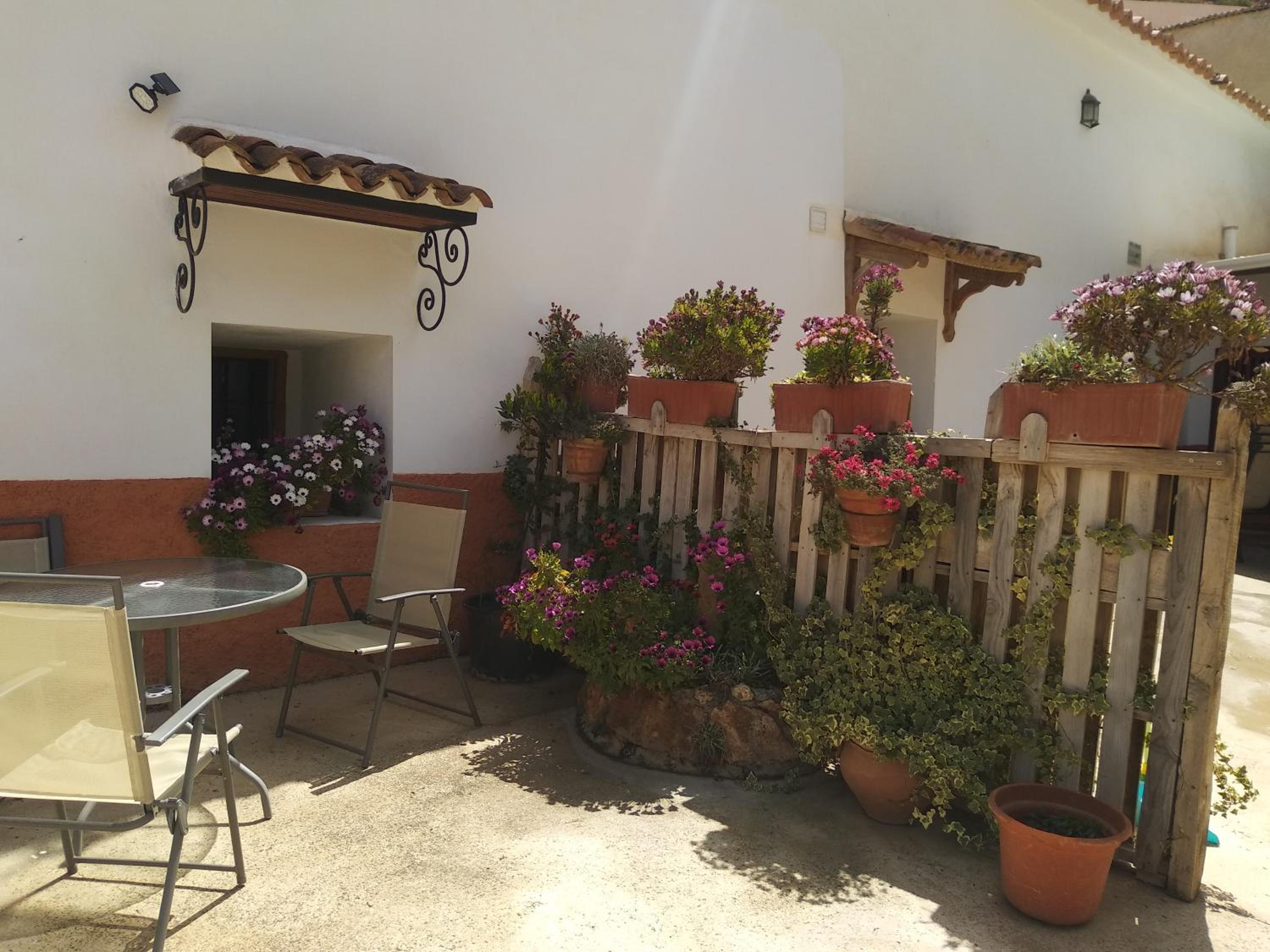 Photo 19