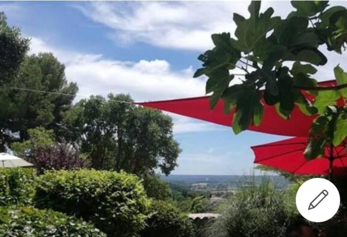 Le jardin de Sabine, photo 17