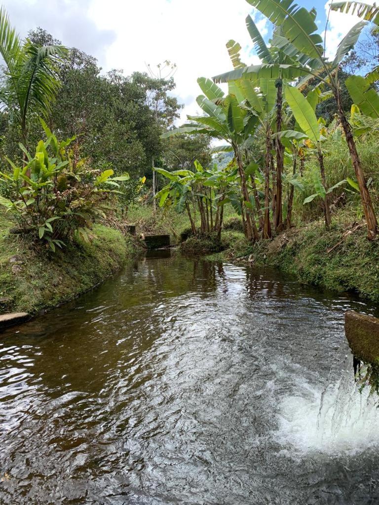 Chalé Teresopolis