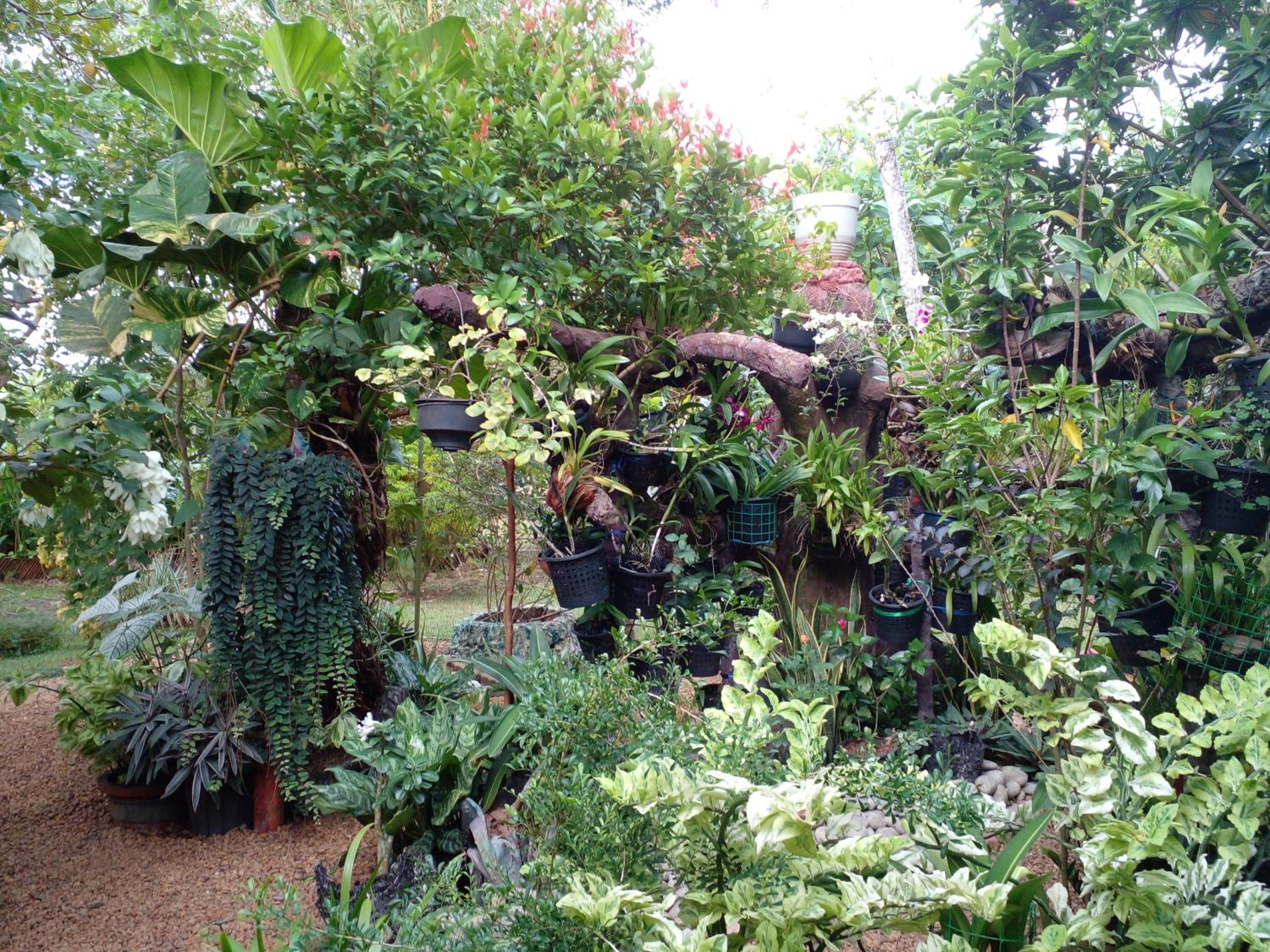 Photo 18
