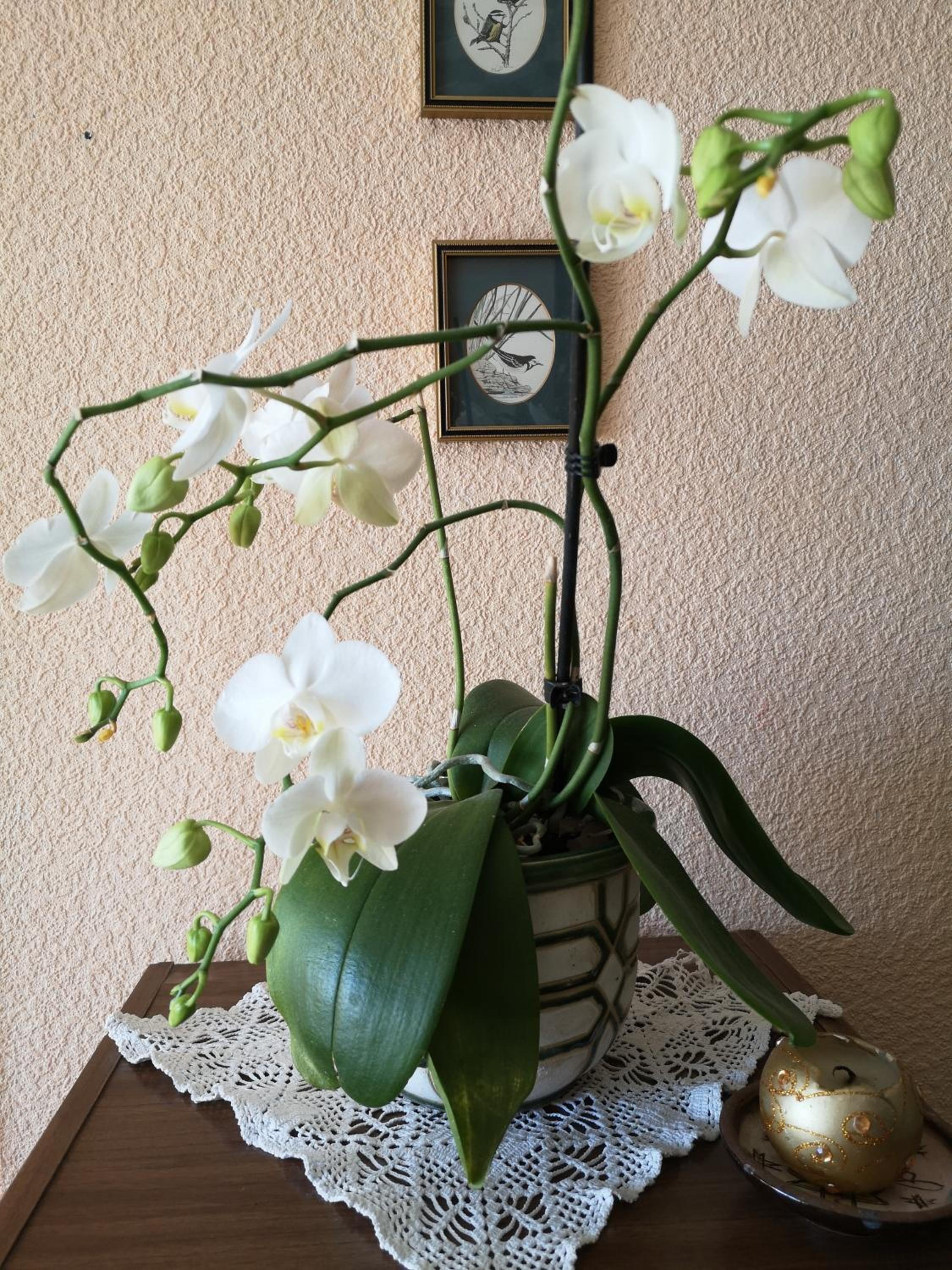 Photo 49