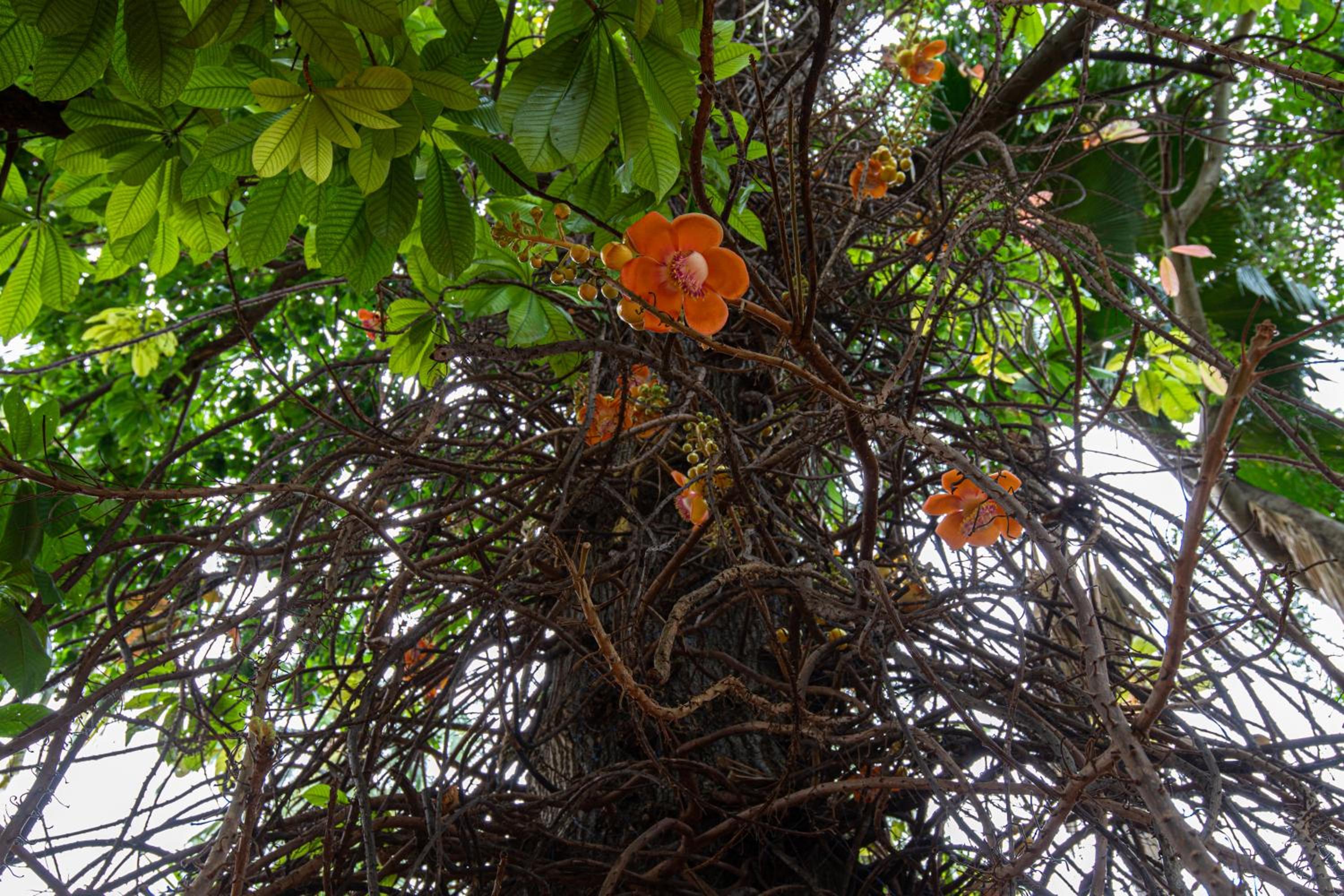 Photo 41