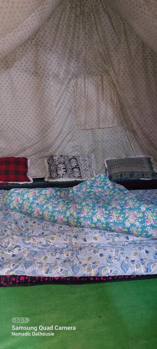 Nomadic Dalhousie