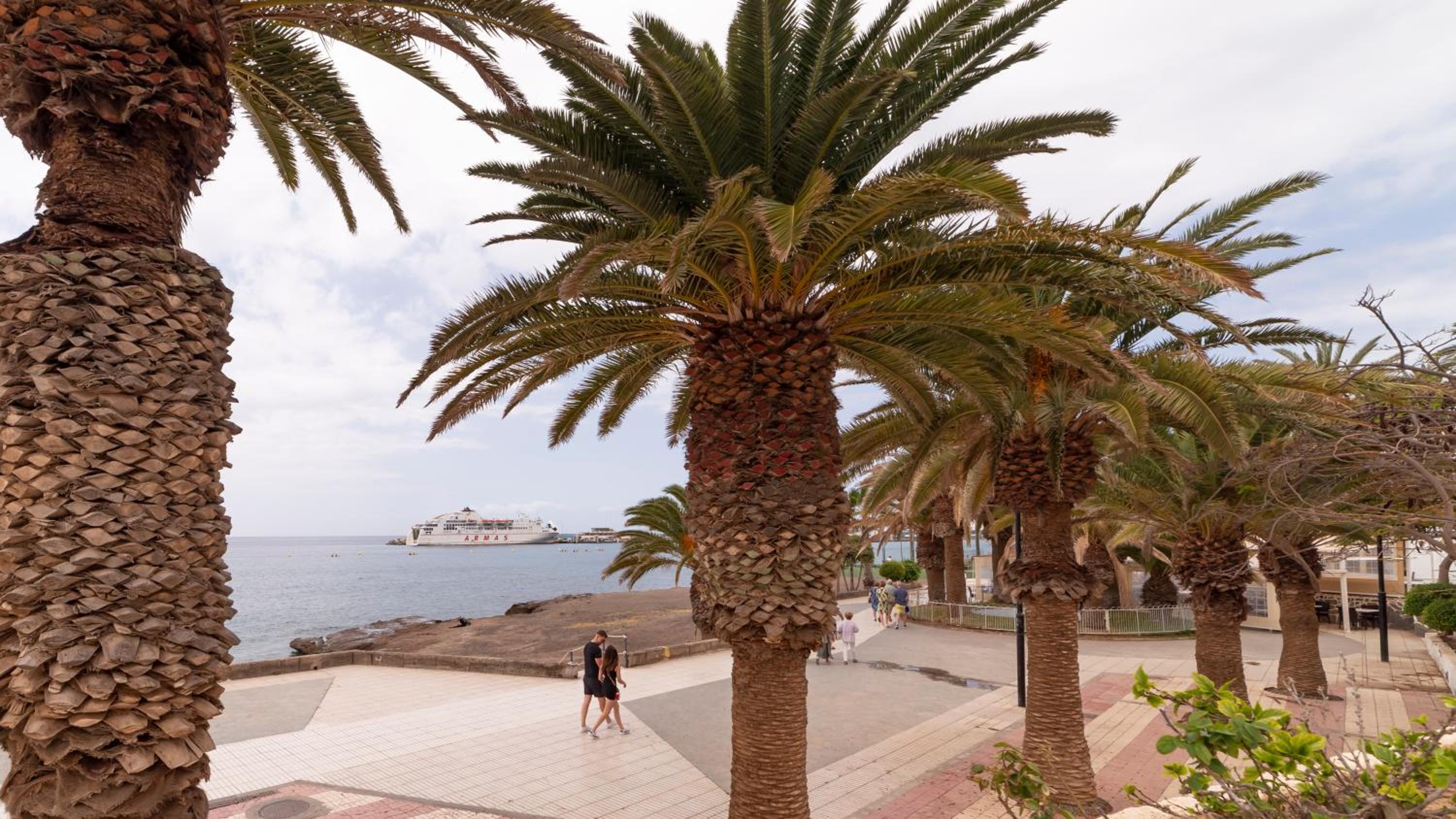 Studio ocean coast Los Cristianos Comodoro