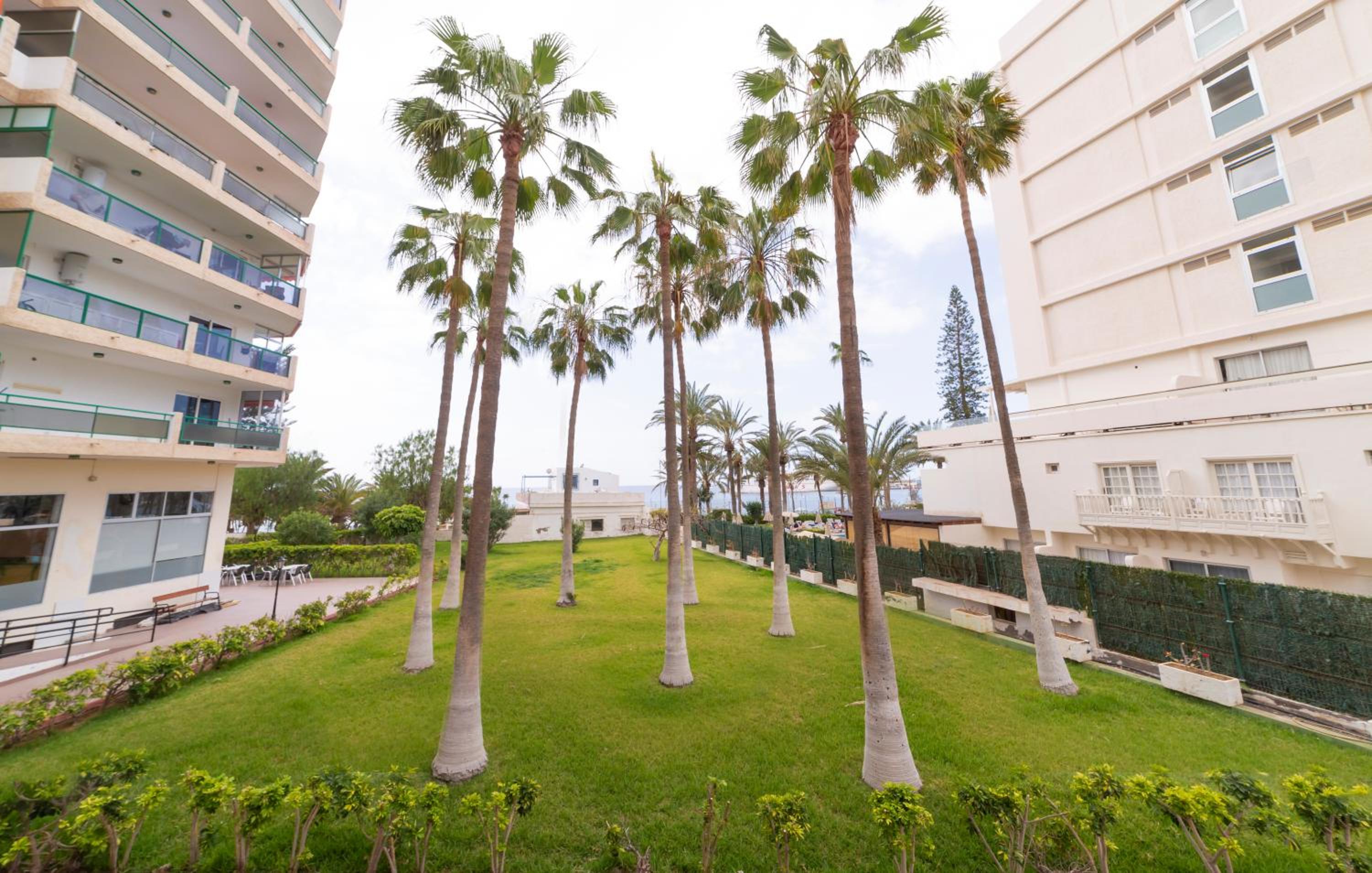 Studio ocean coast Los Cristianos Comodoro