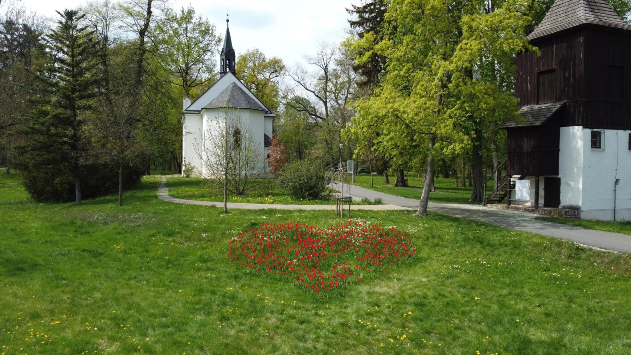 Photo 20