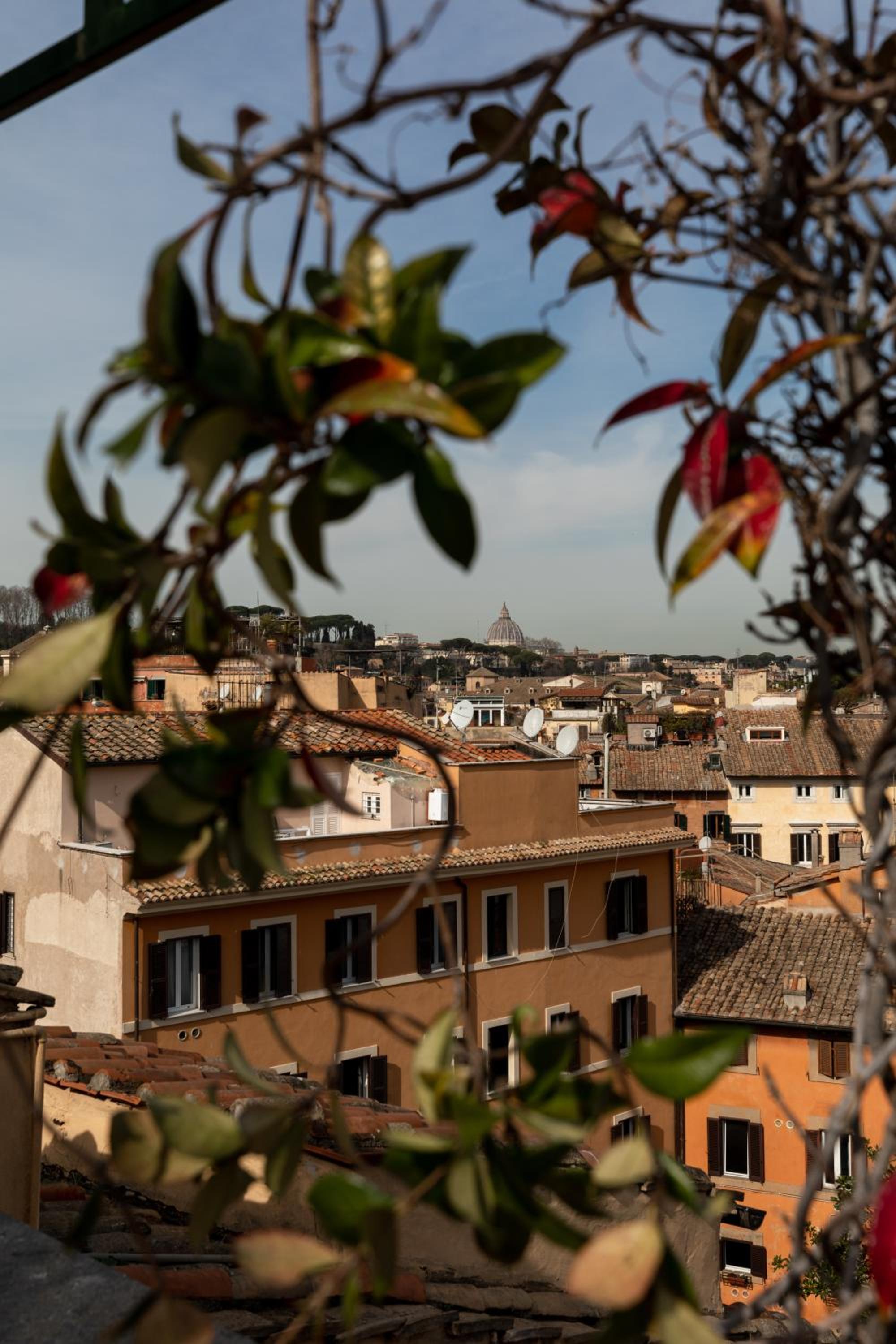 Amazing apartments with terrace or rooftop in Trastevere