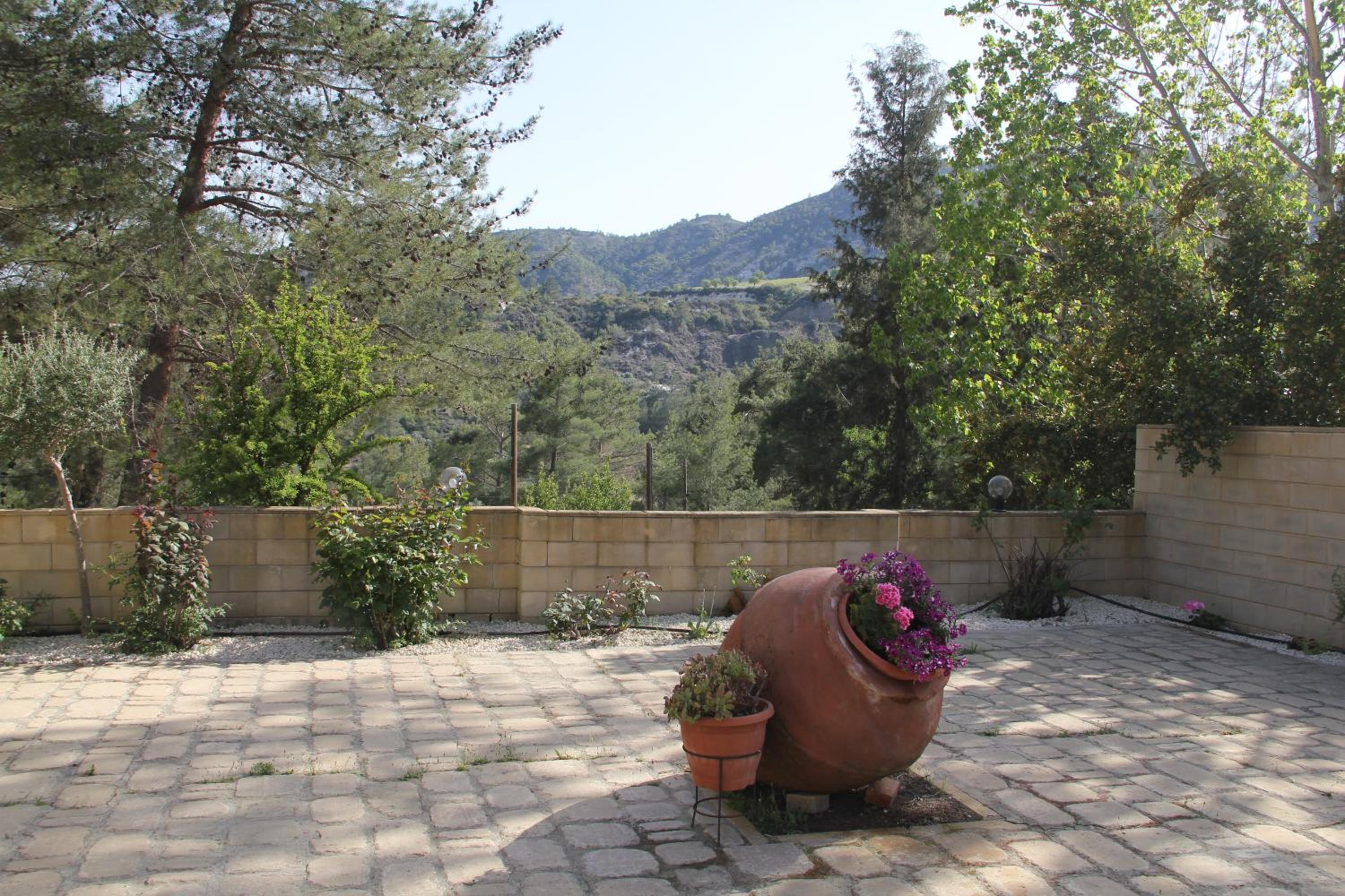 Photo 29