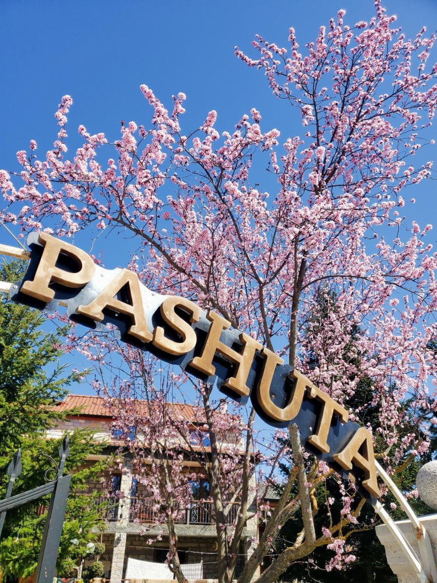 Hotel Pashuta