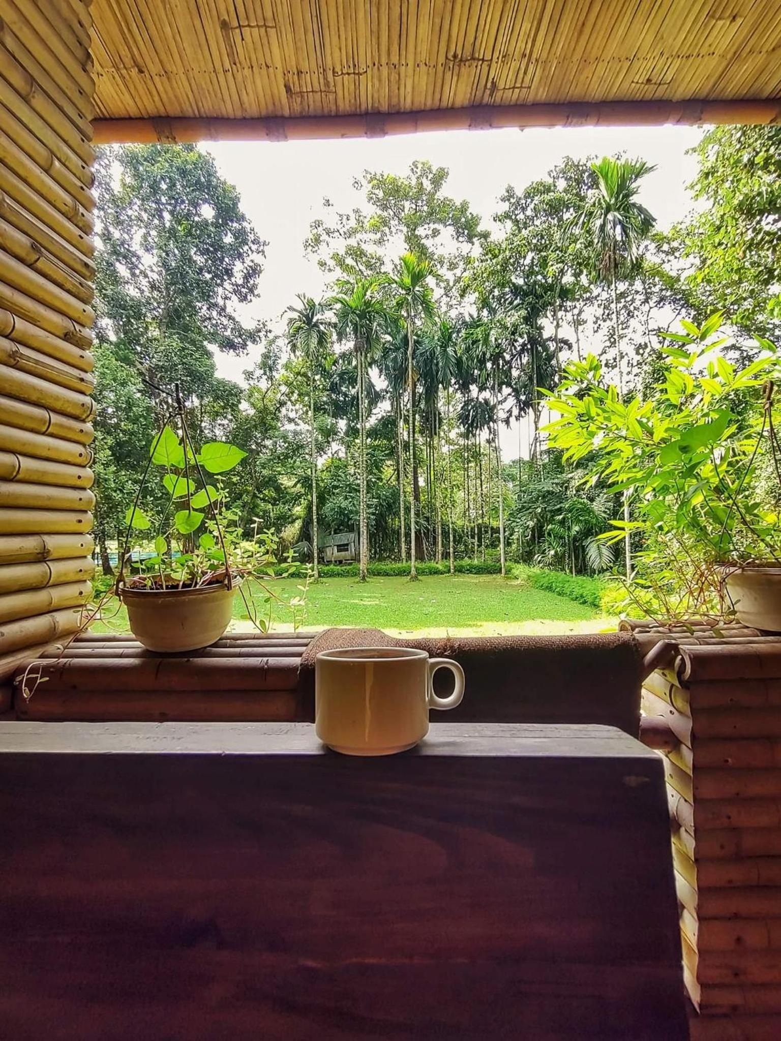 SDD Bamboo Village Resort view 4