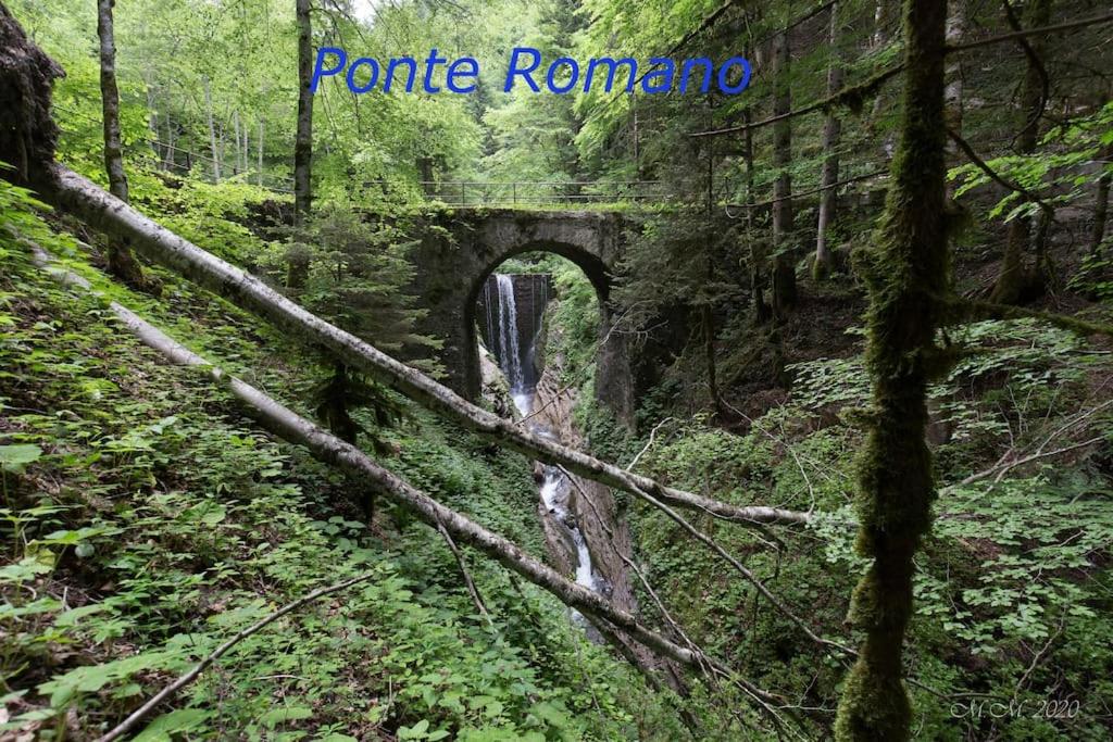 Appartamento Speranza