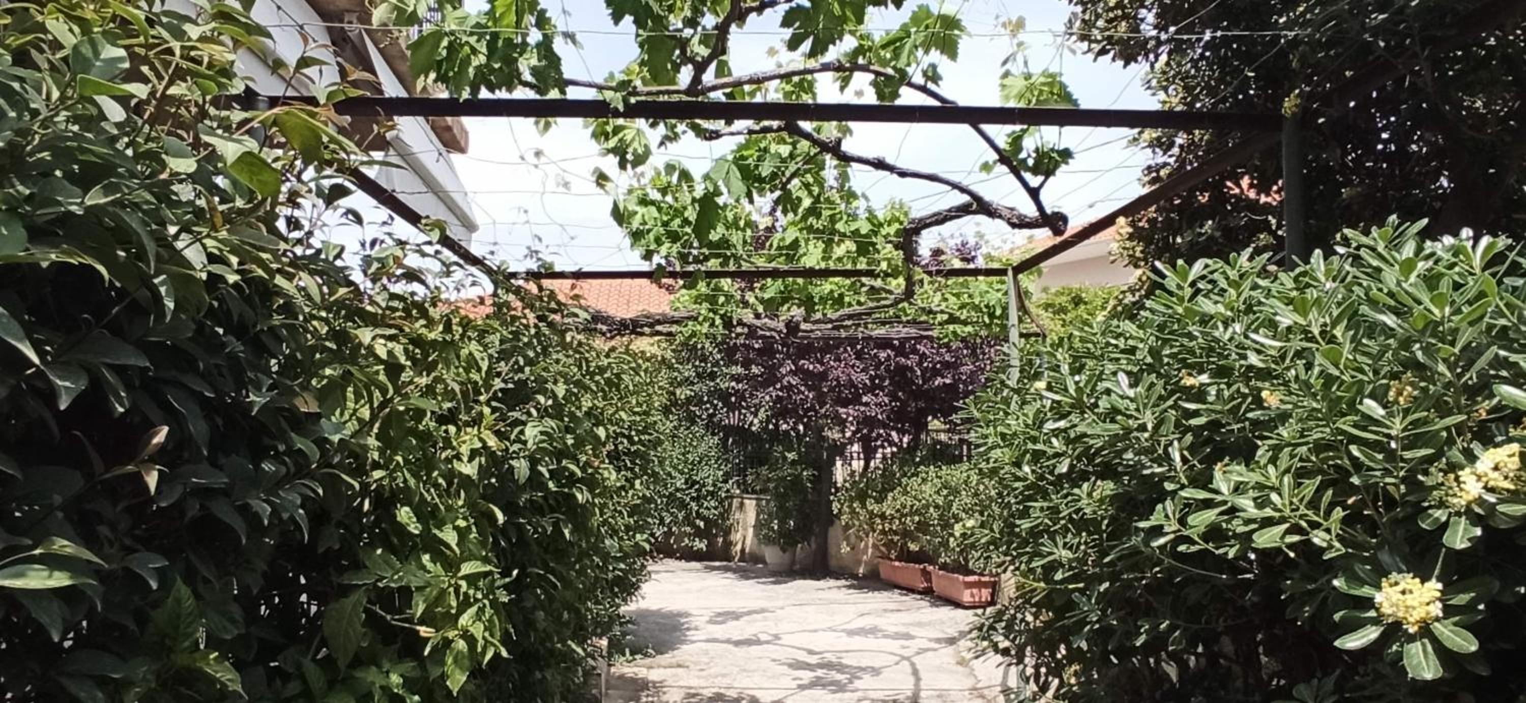 Nikos Holidays House