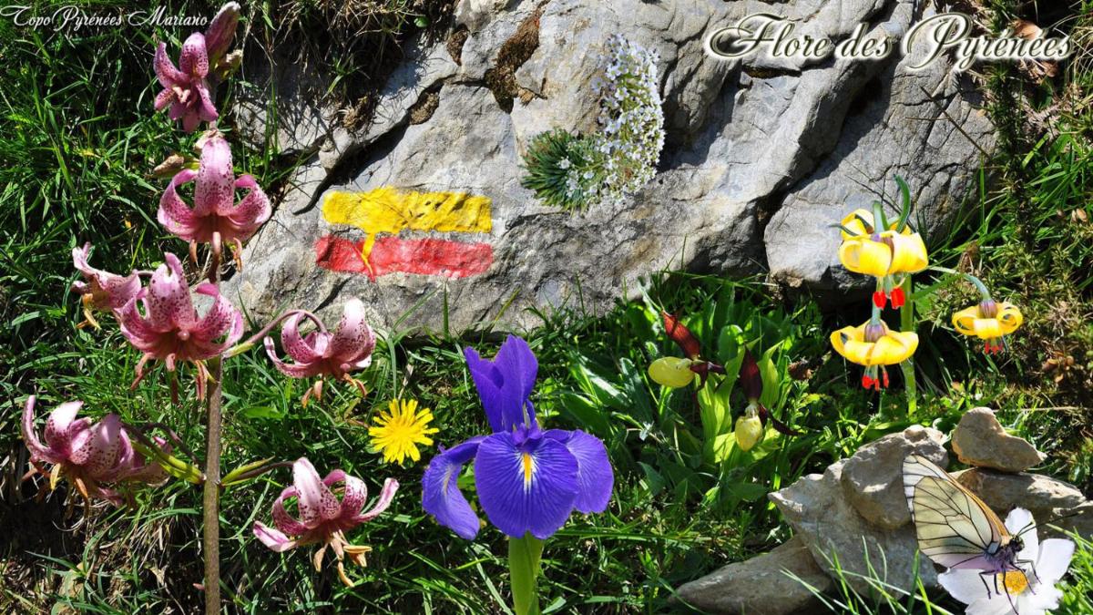 Photo 30