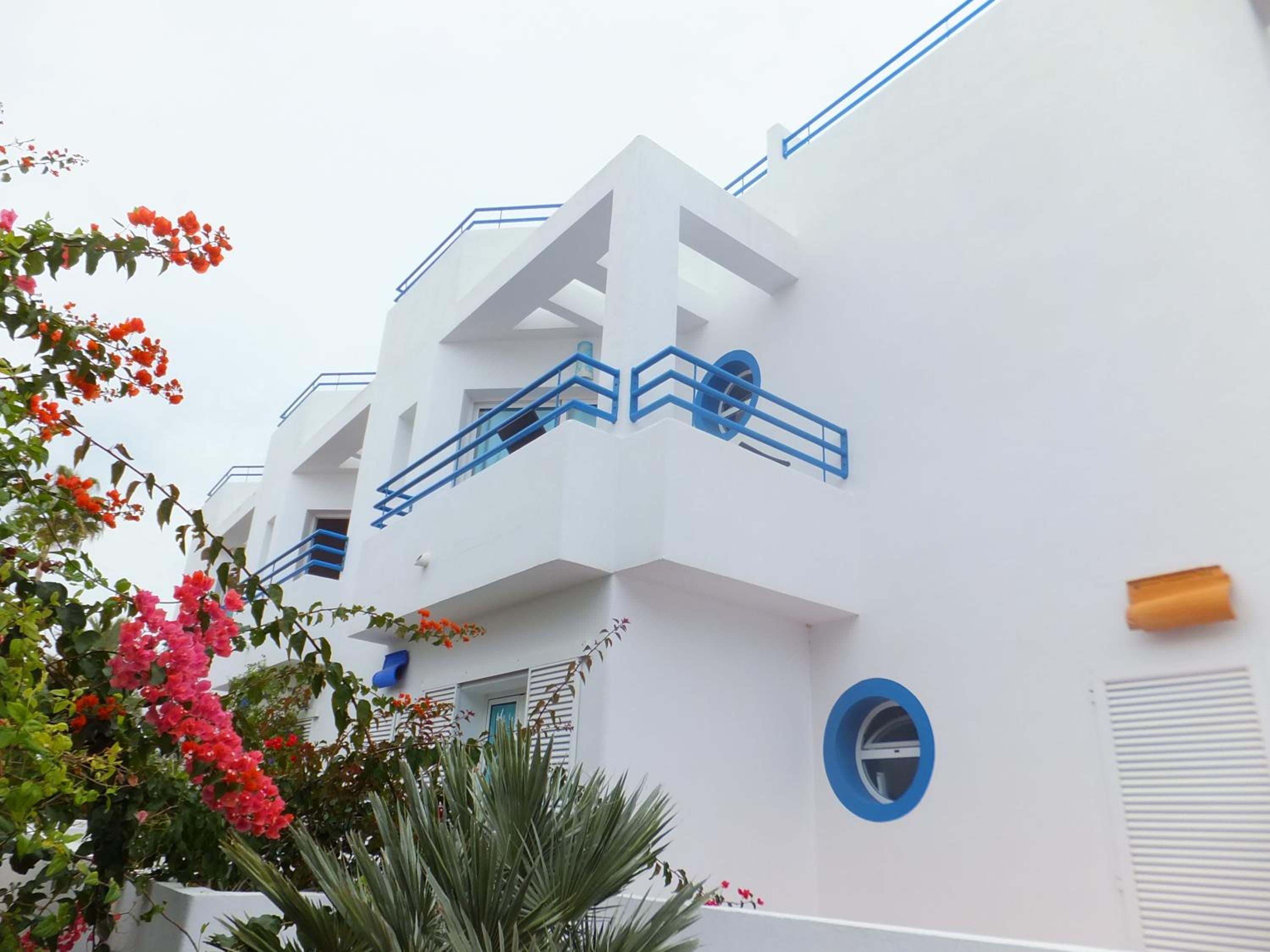 Arto Blanco