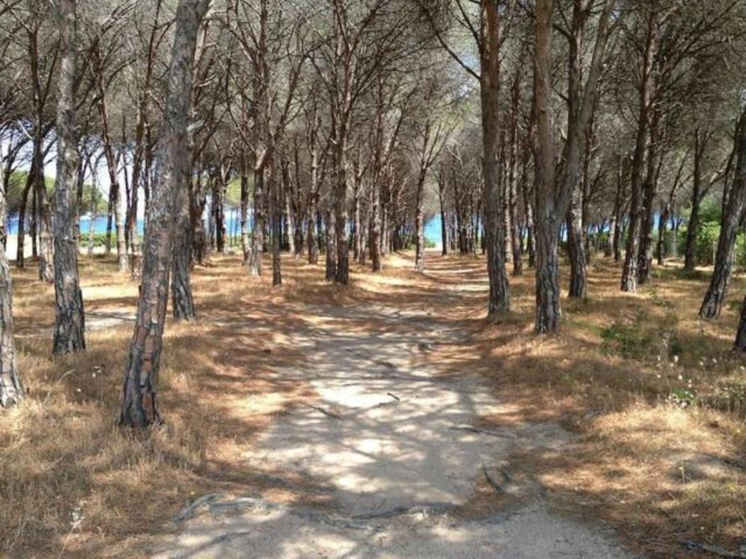 Appartamento Berna