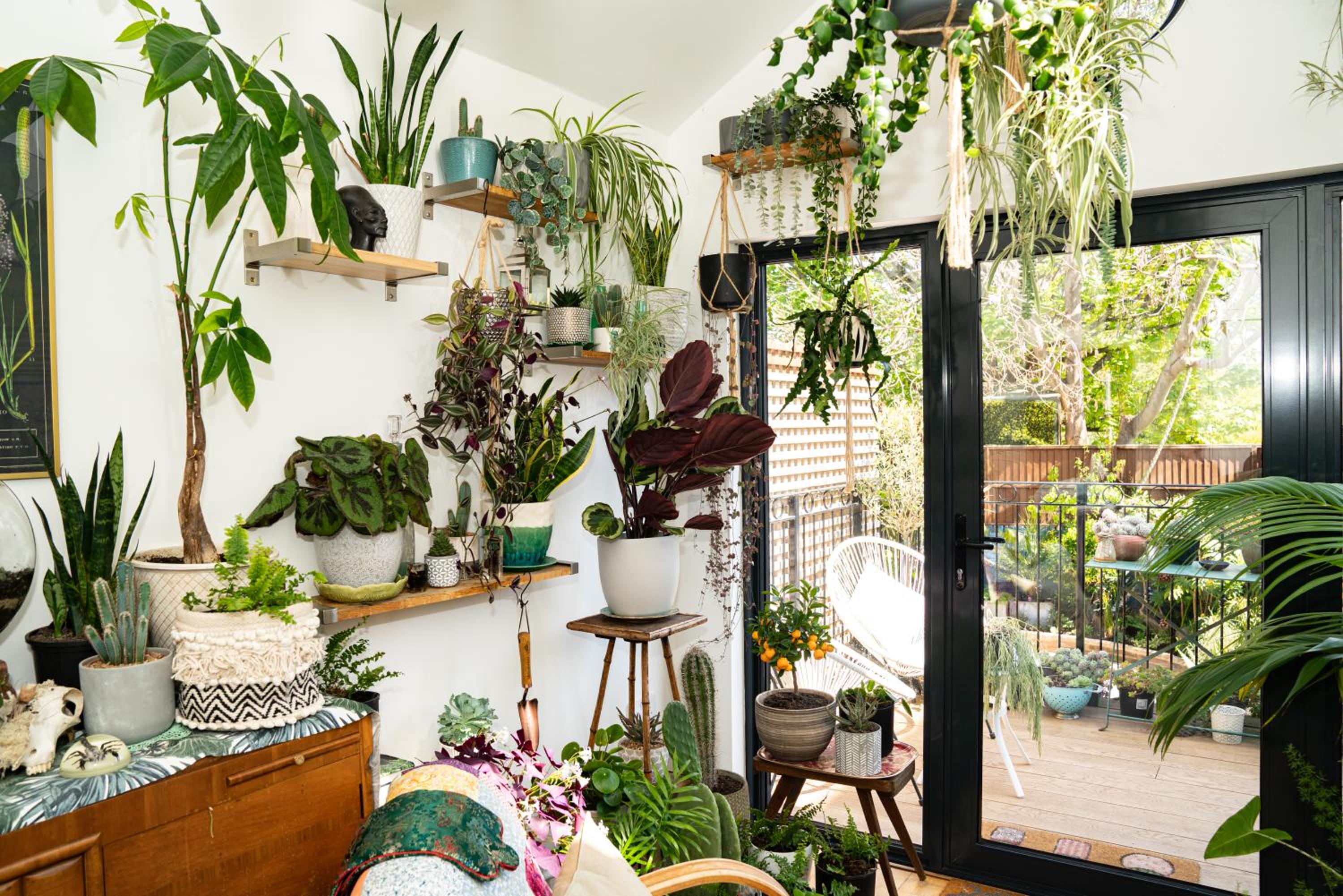 The Greenhouse view 3